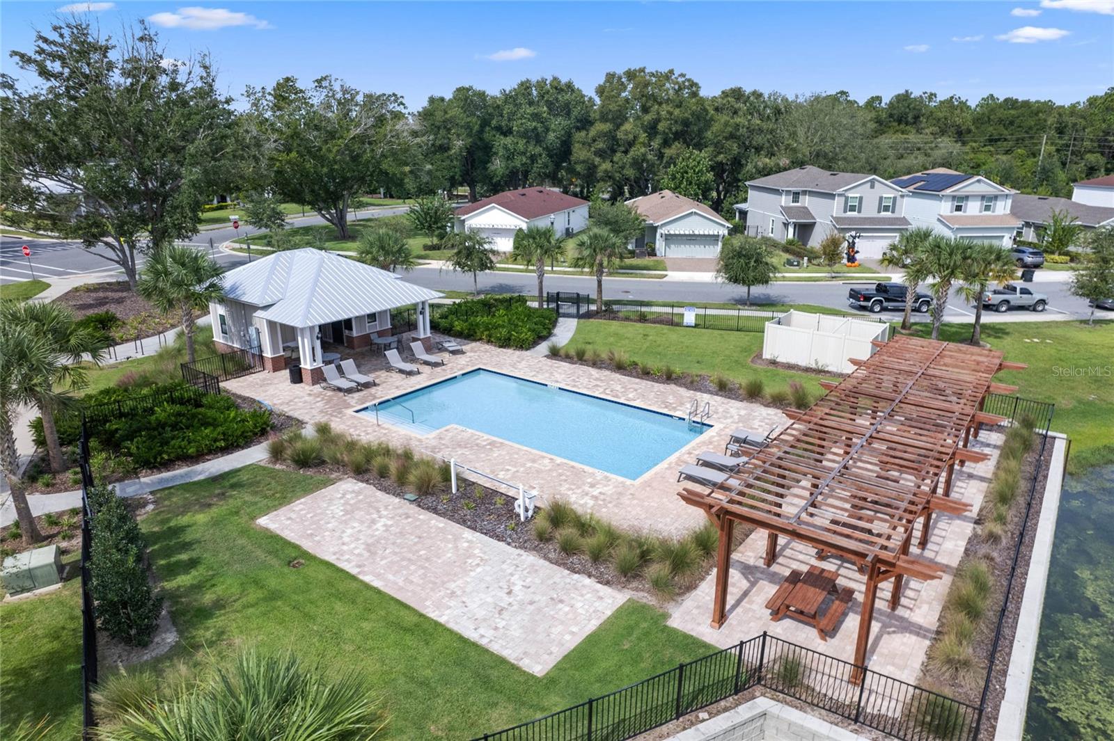 2212 Gopher Tortoise Ter