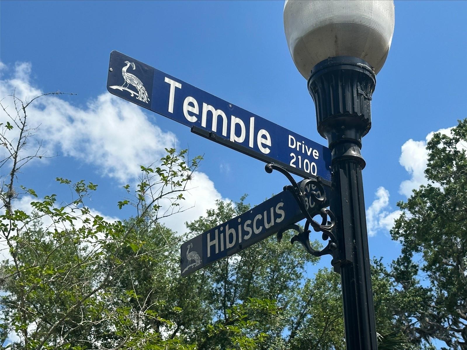 2172 Temple Dr
