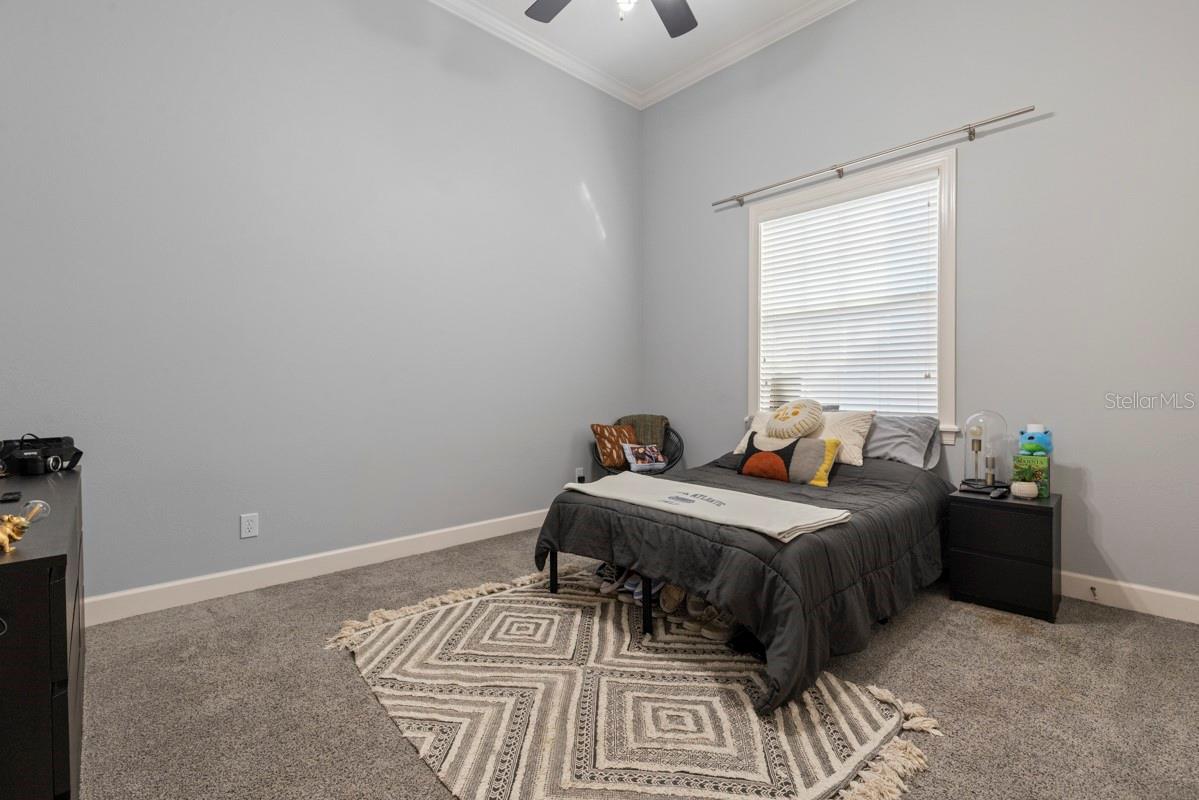 5409 Tildens Grove Blvd