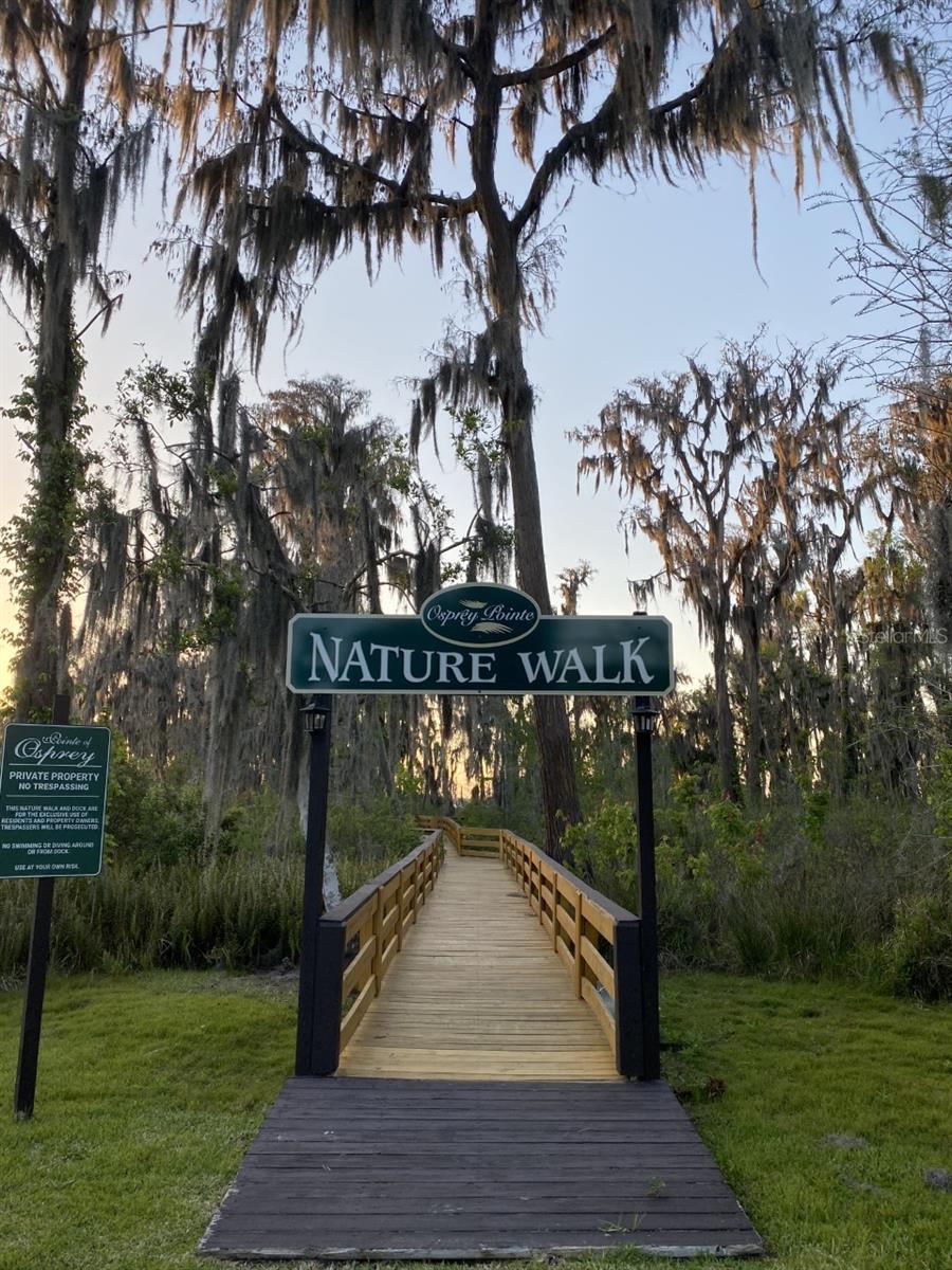 11617 Osprey Pointe Blvd