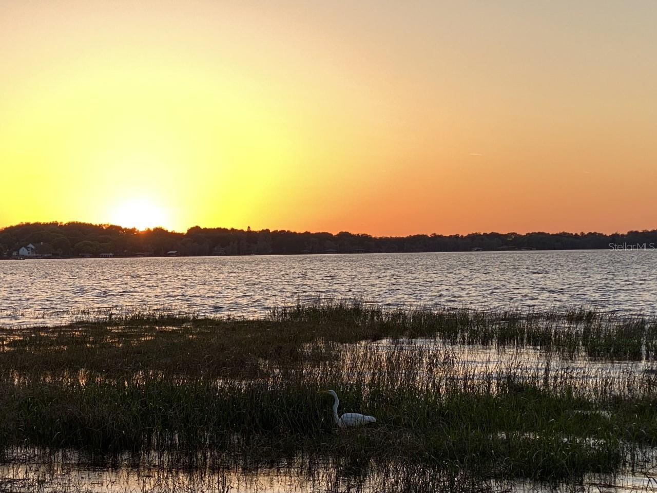 11617 Osprey Pointe Blvd