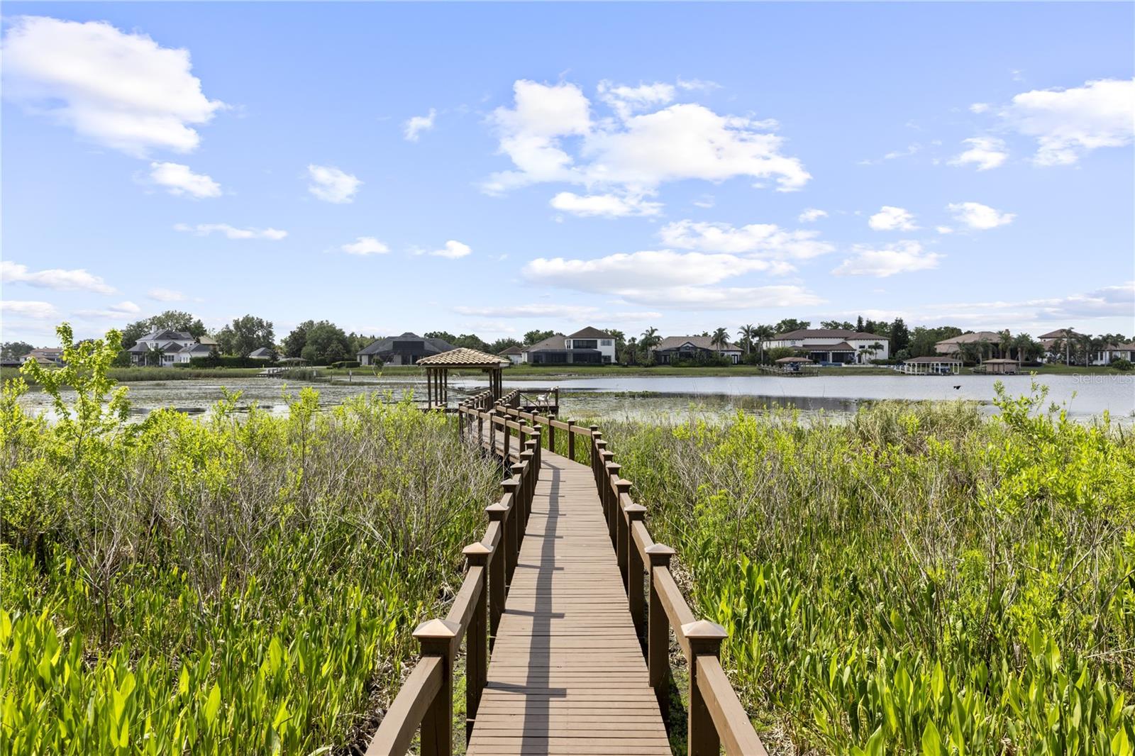 14700 Avenue of the Rushes