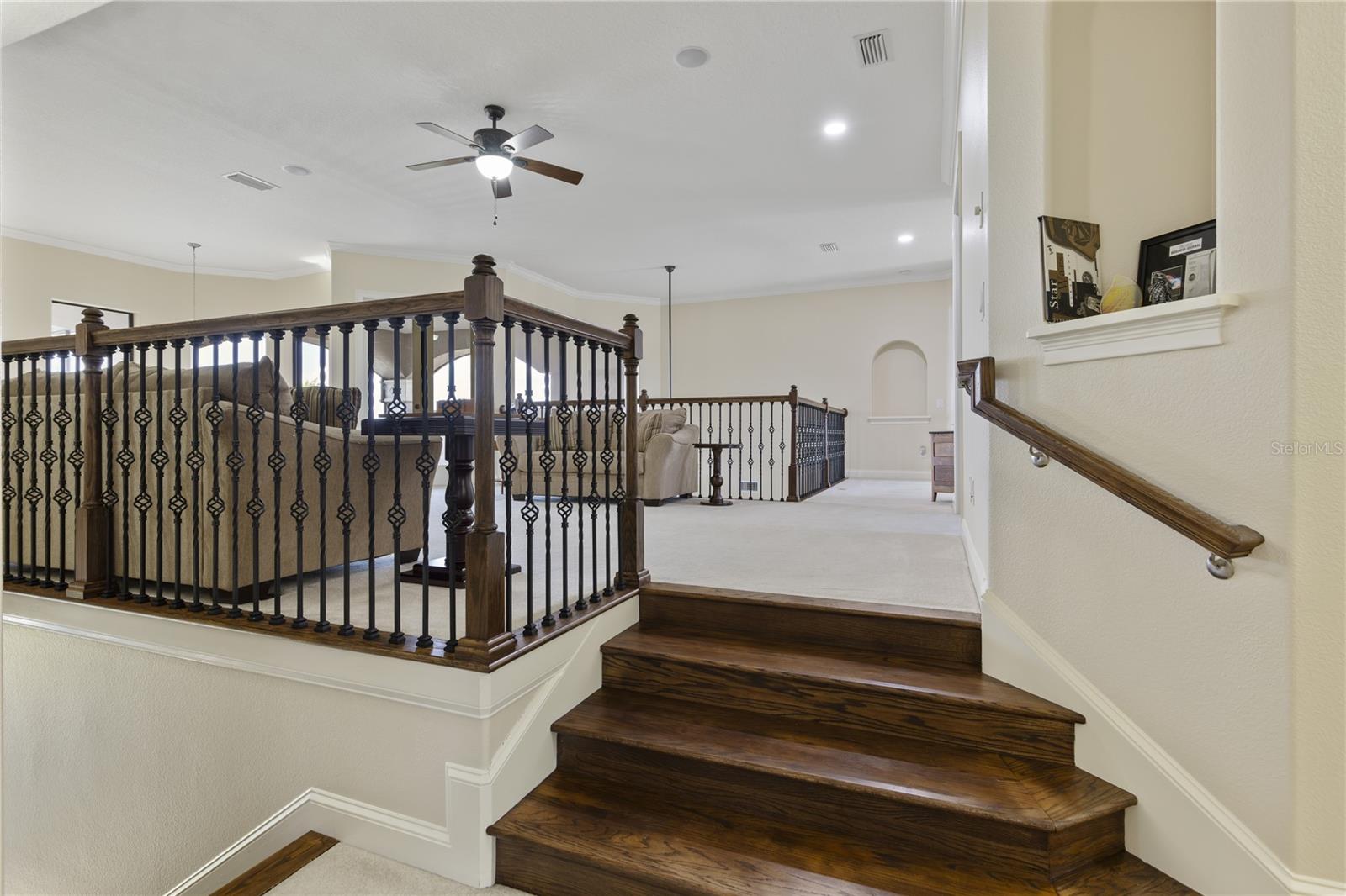 14700 Avenue of the Rushes