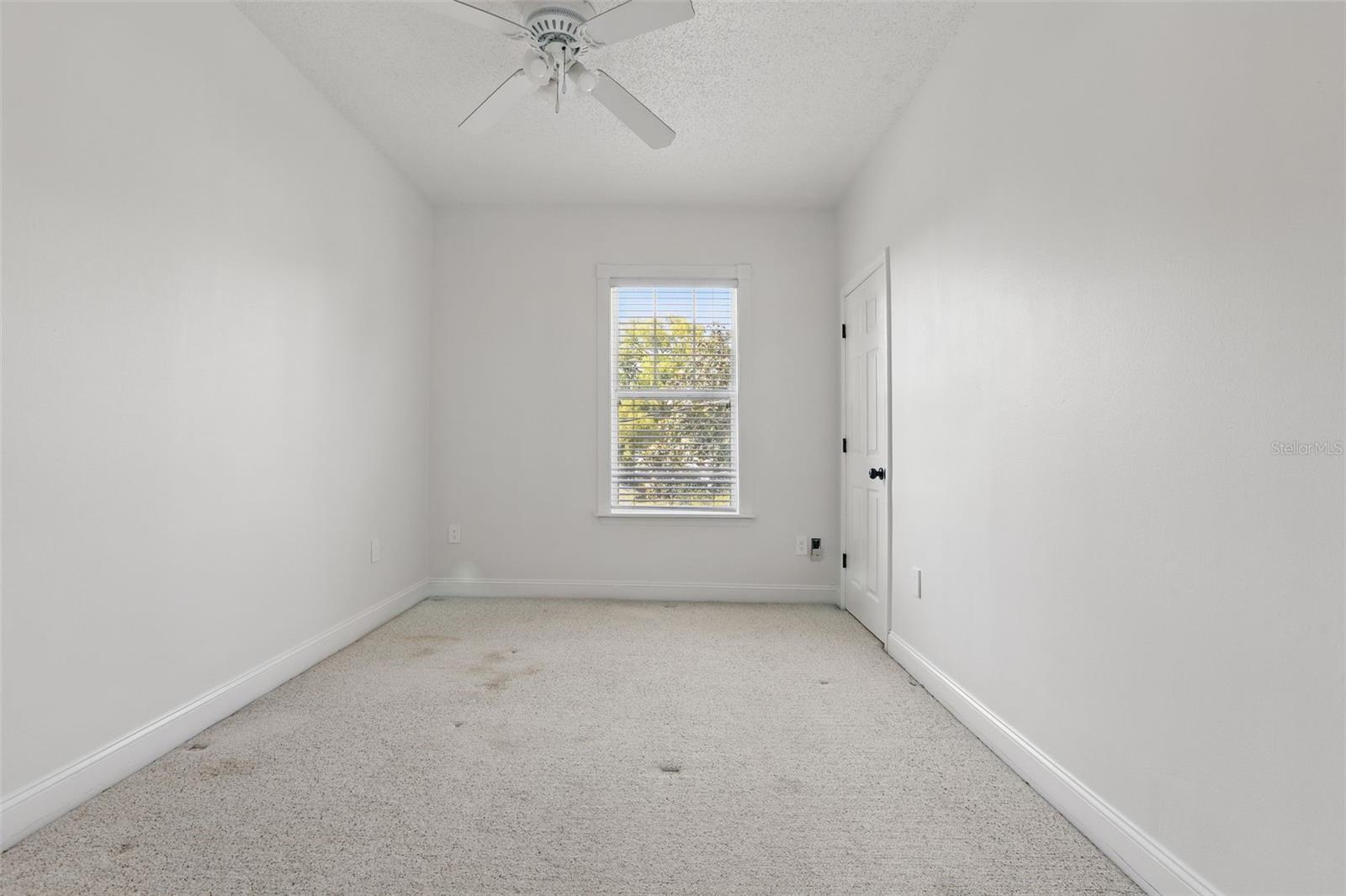 315 E Harwood St #Unit 2