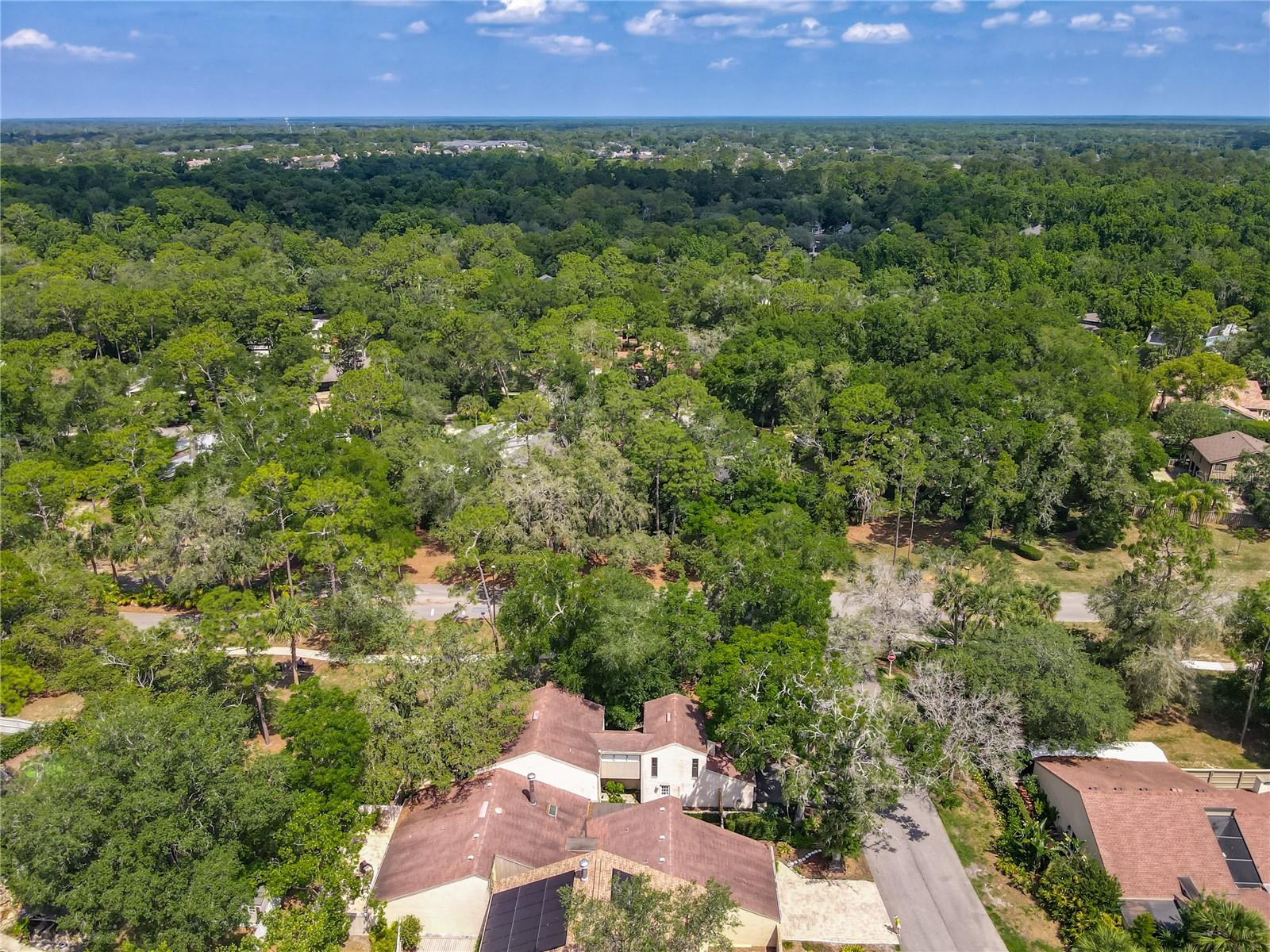 103 Red Cedar Dr