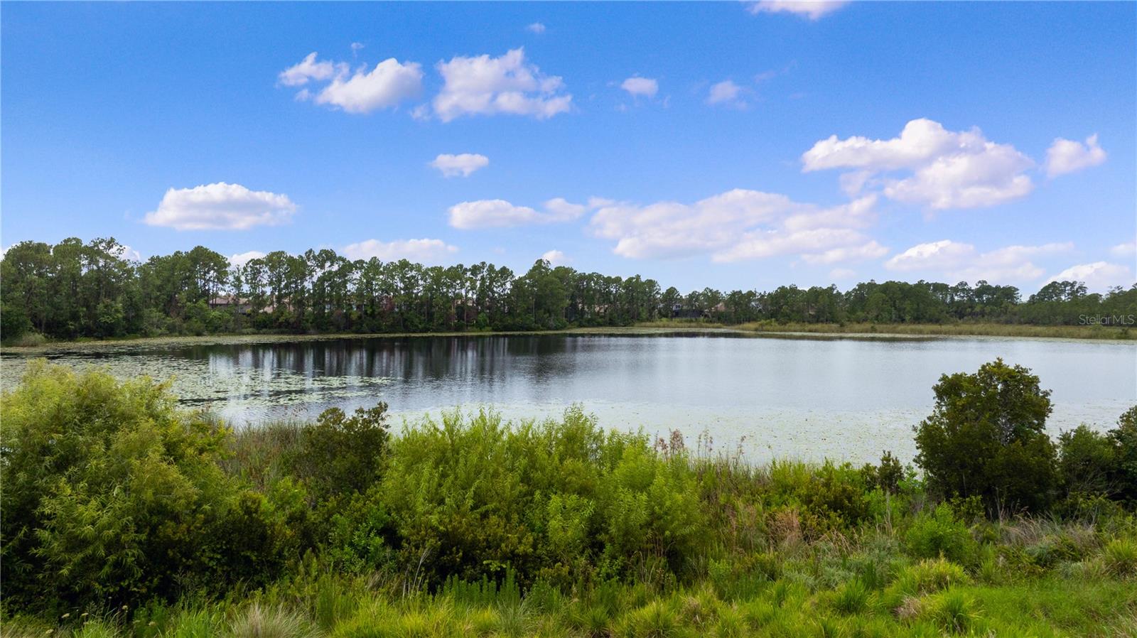 10180 Merrymeeting Bay Dr