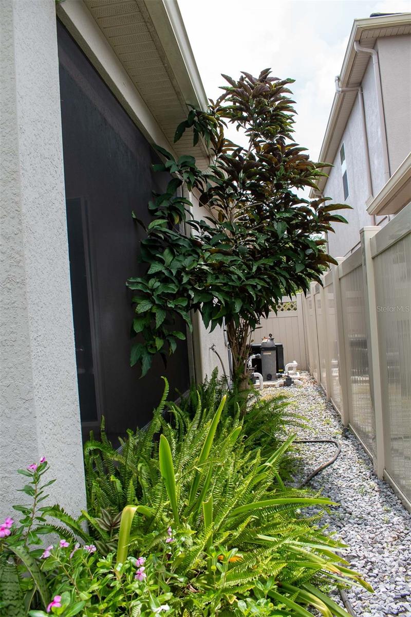 14419 MAGNOLIA RIDGE LOOP