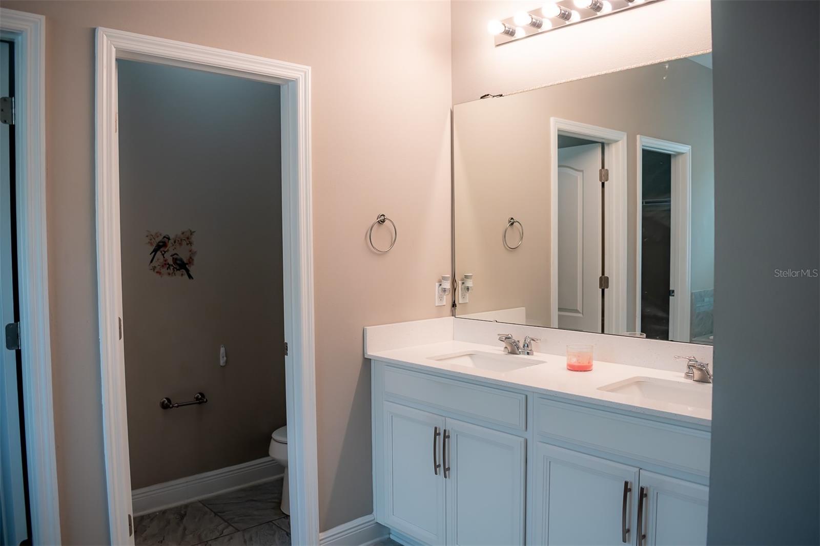 14419 MAGNOLIA RIDGE LOOP