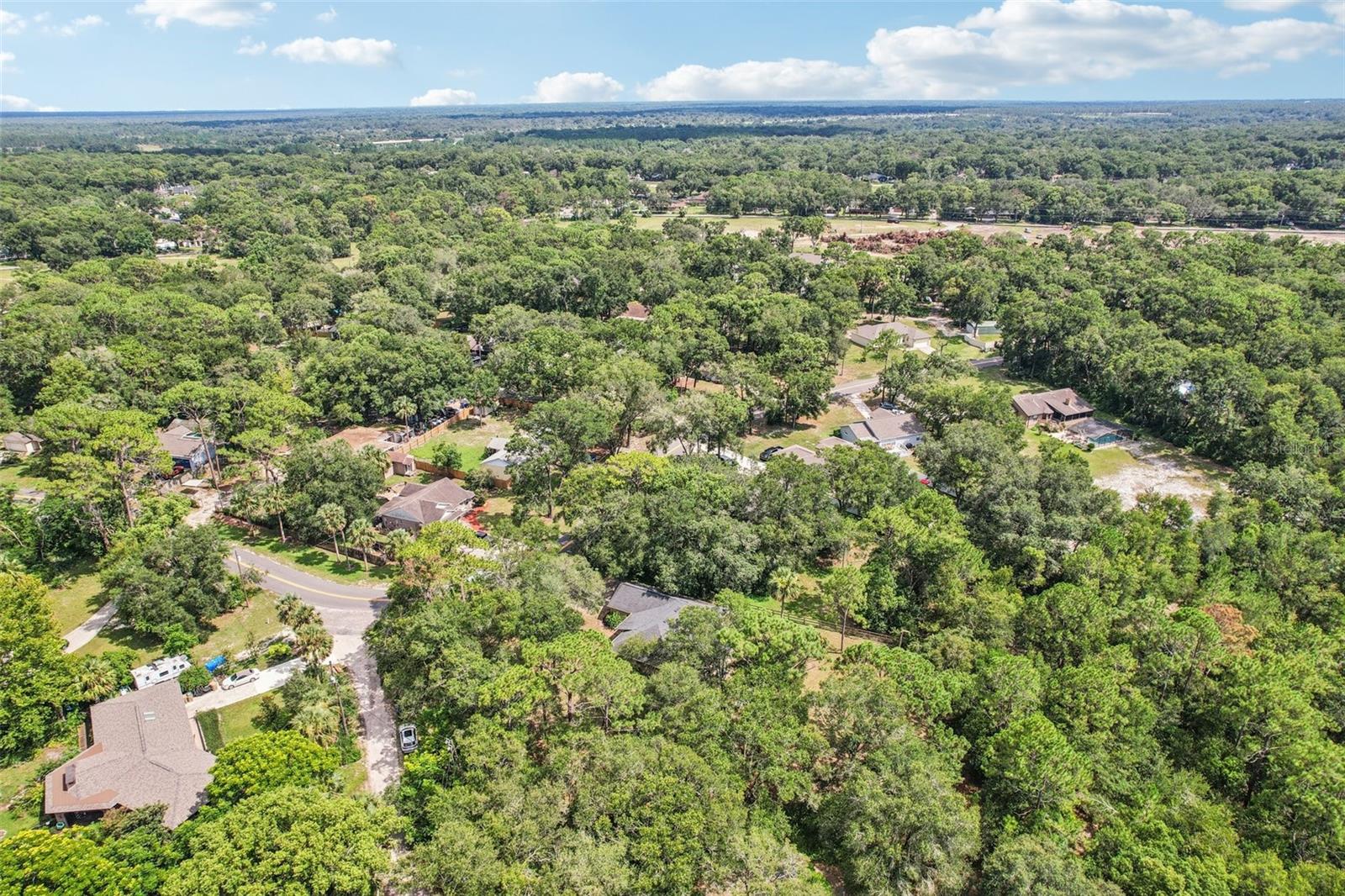 31154 LOCHMORE CIR