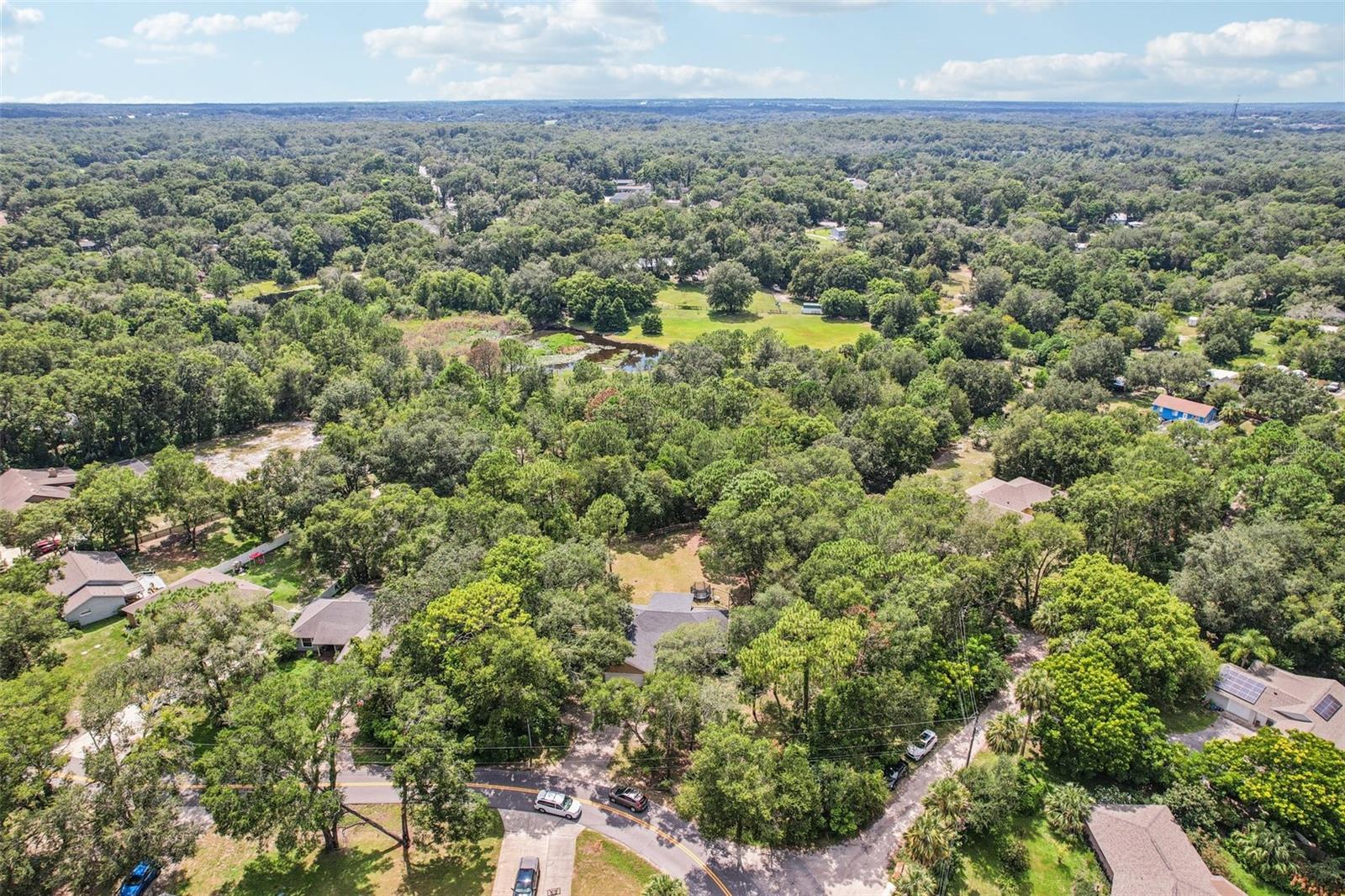 31154 LOCHMORE CIR