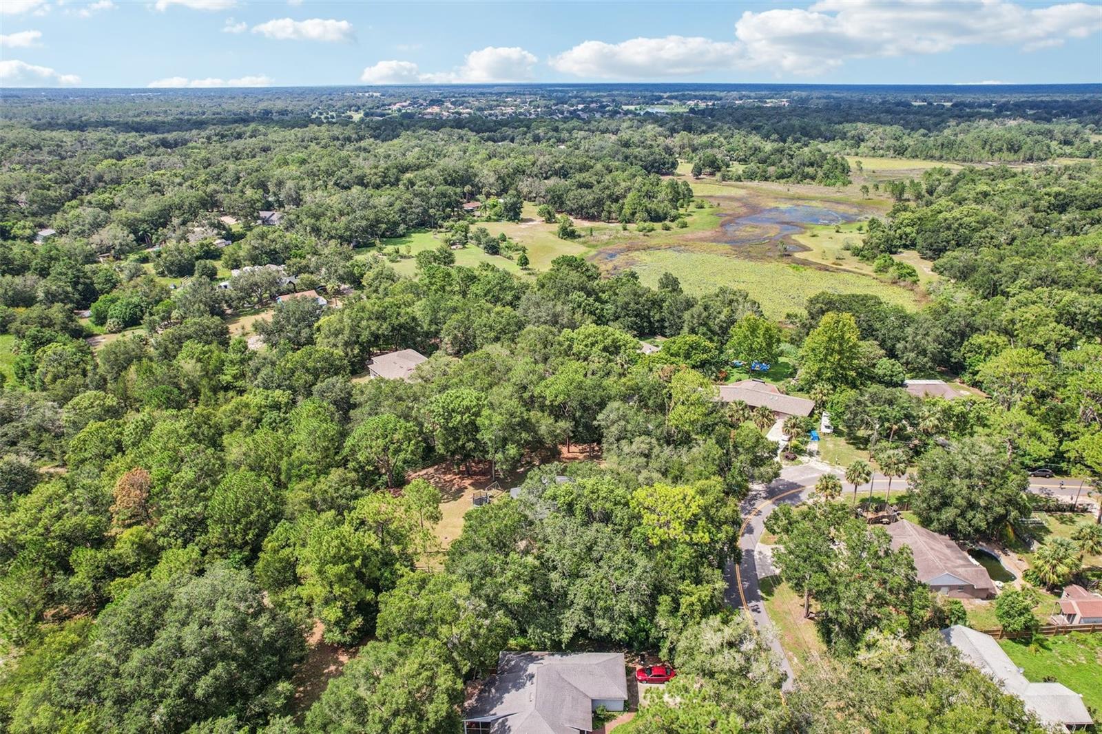 31154 LOCHMORE CIR