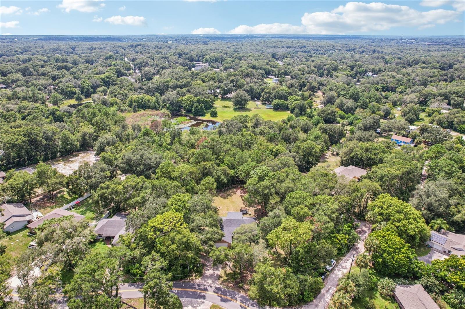 31154 LOCHMORE CIR