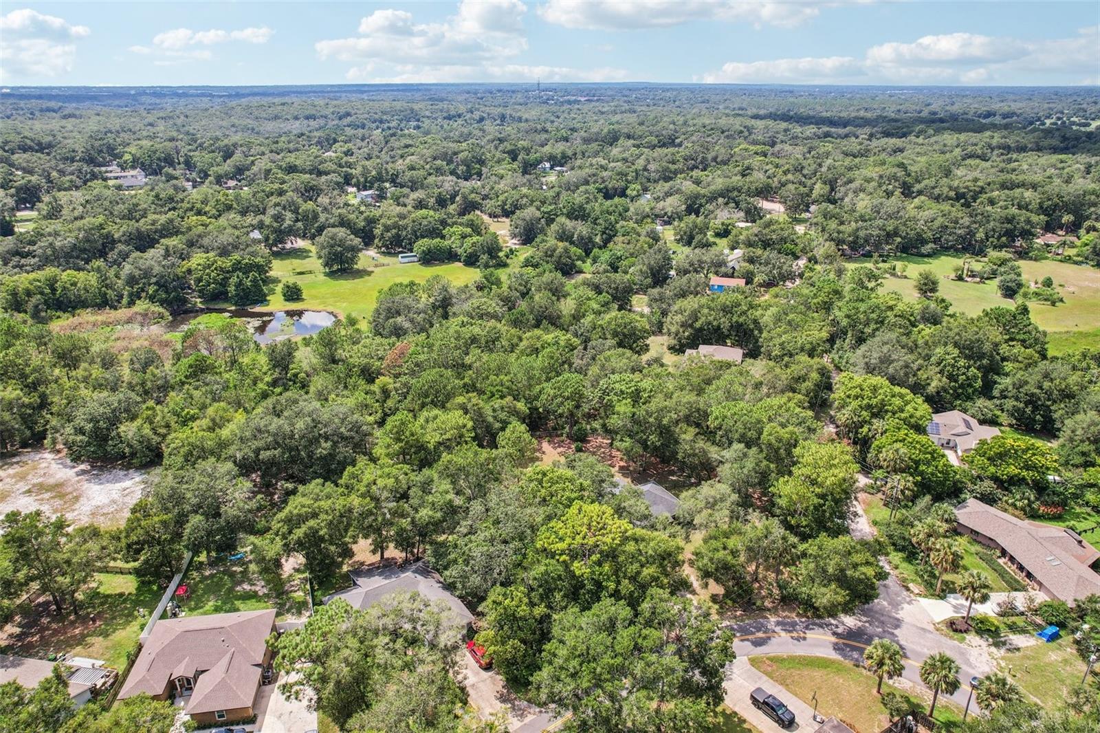 31154 LOCHMORE CIR