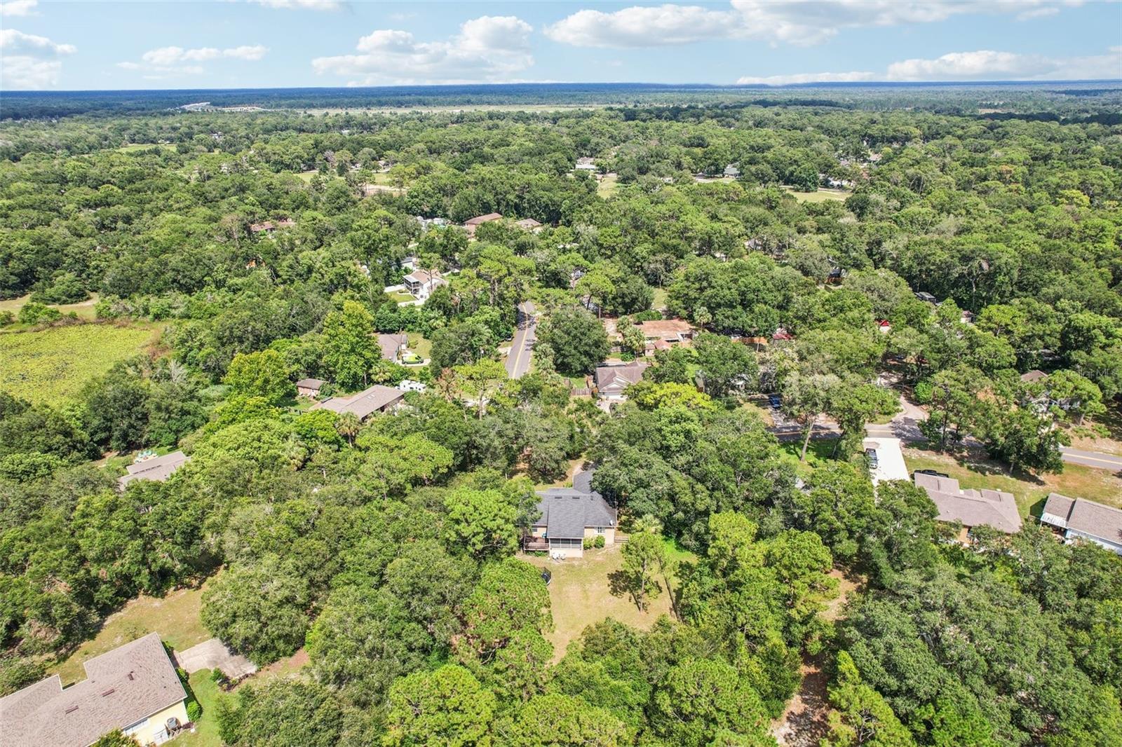 31154 LOCHMORE CIR