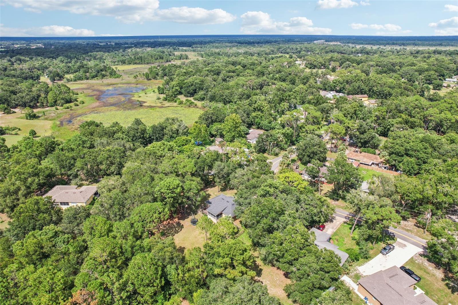 31154 LOCHMORE CIR
