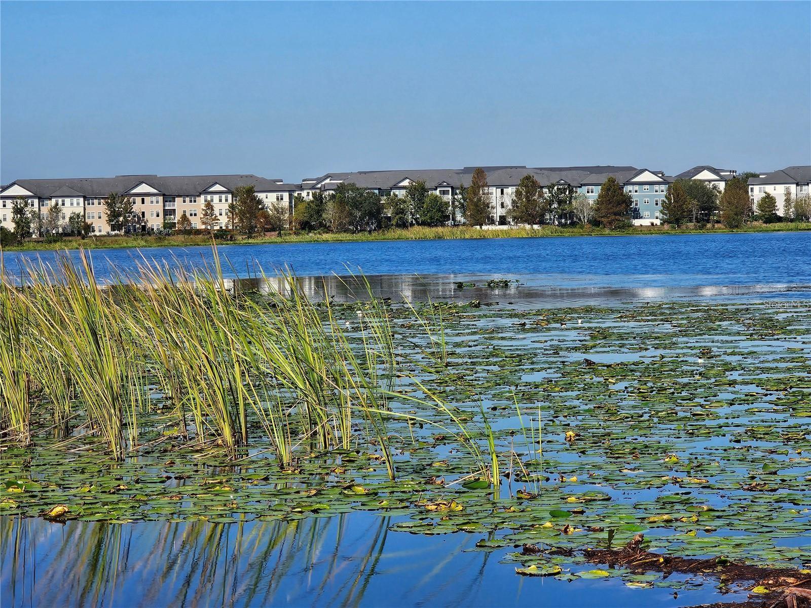 4715 BEACH BOULEVARD