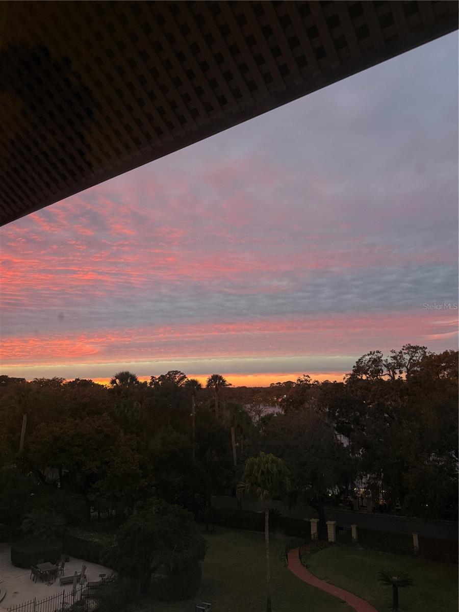 1602 ALABAMA DR #403