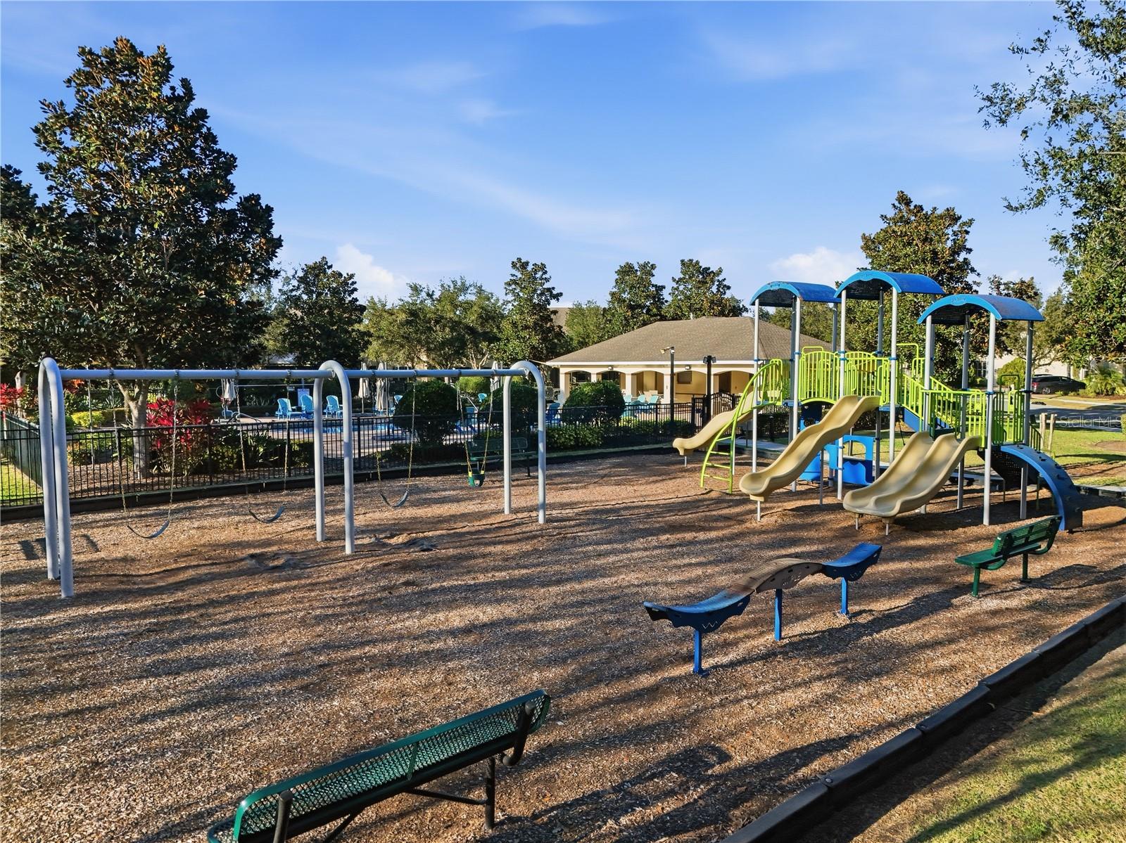 6382 GOLDEN DEWDROP TRL