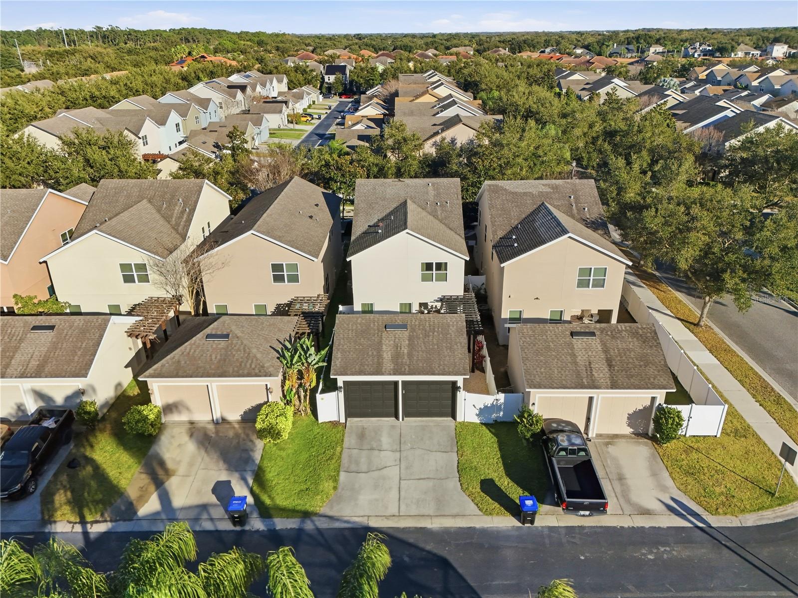 6382 GOLDEN DEWDROP TRL