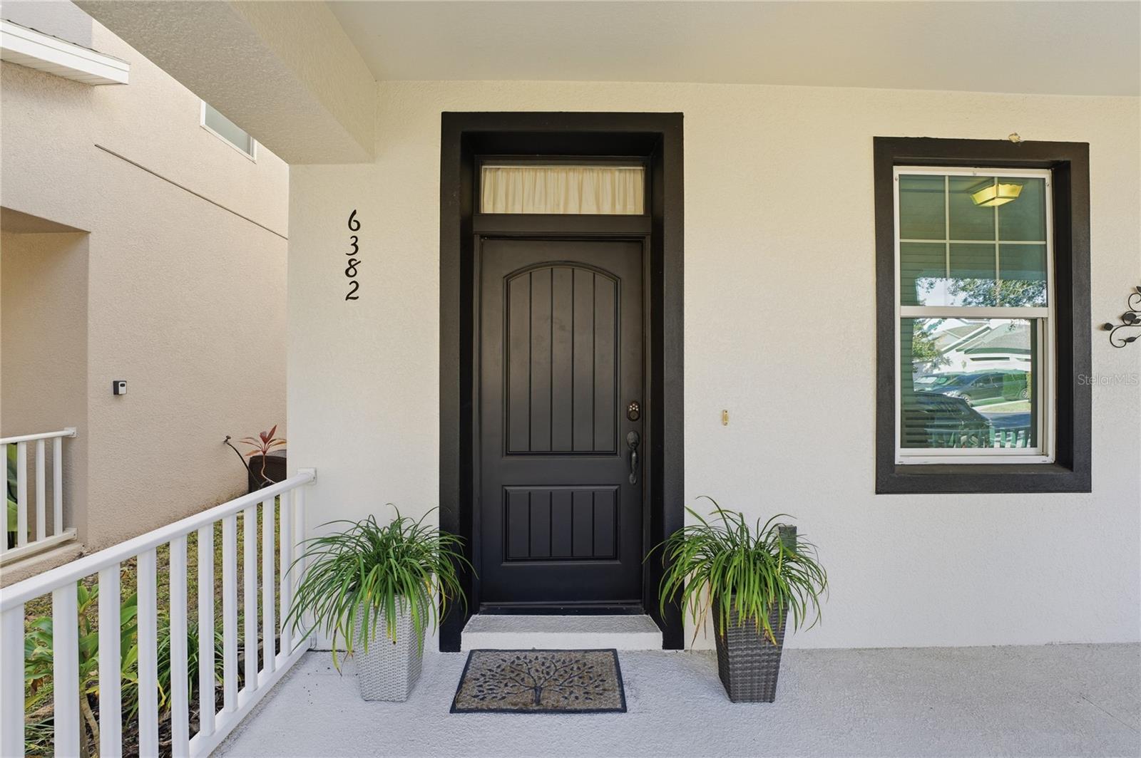 6382 GOLDEN DEWDROP TRL