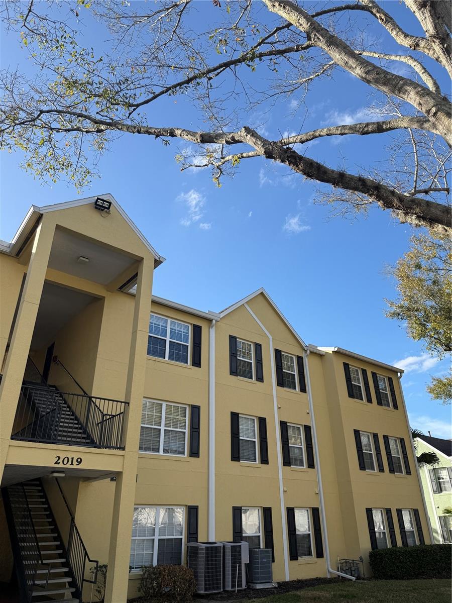 2019 DIXIE BELLE DR #2019W