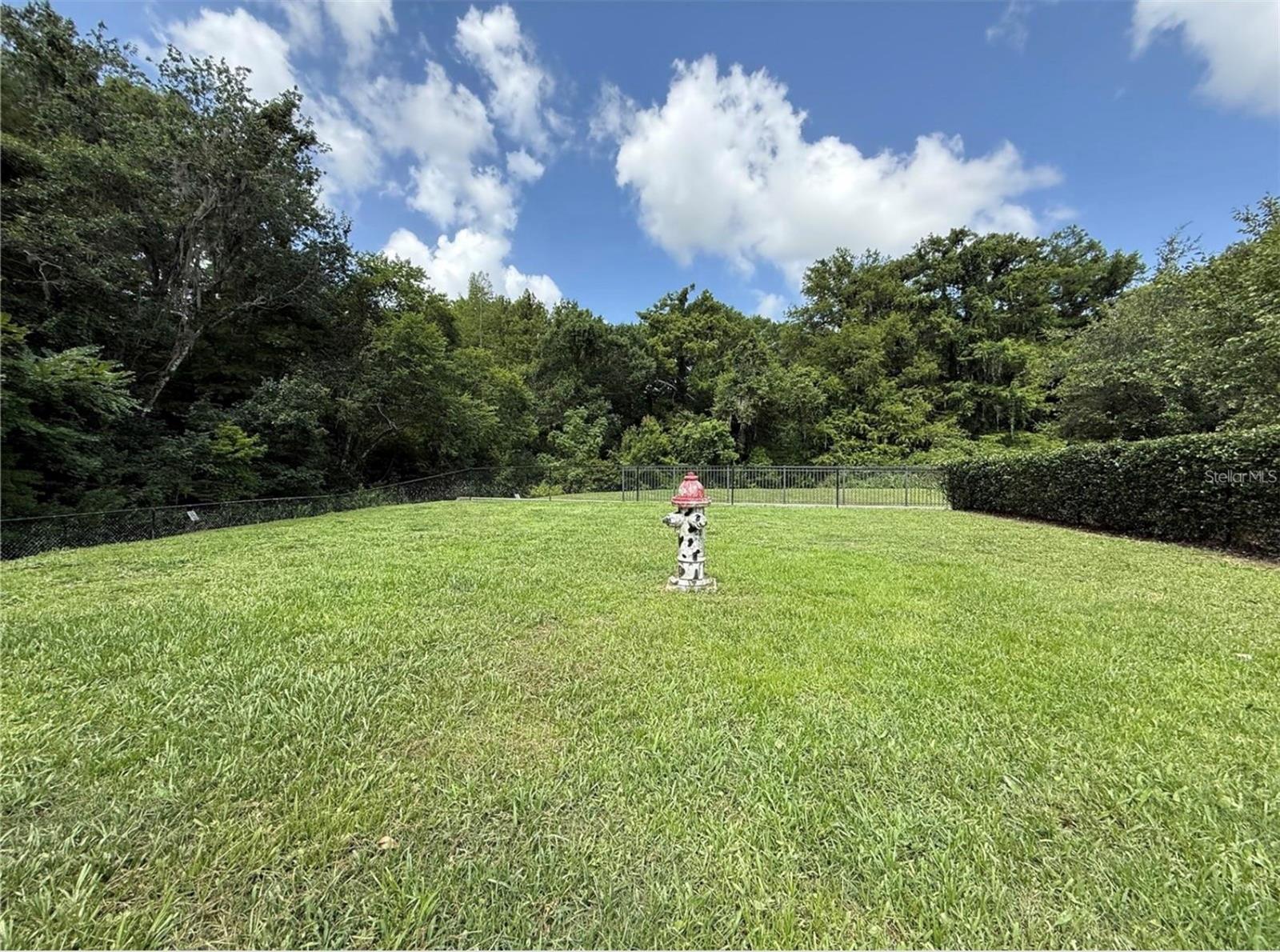 1015 LYCHEE CT