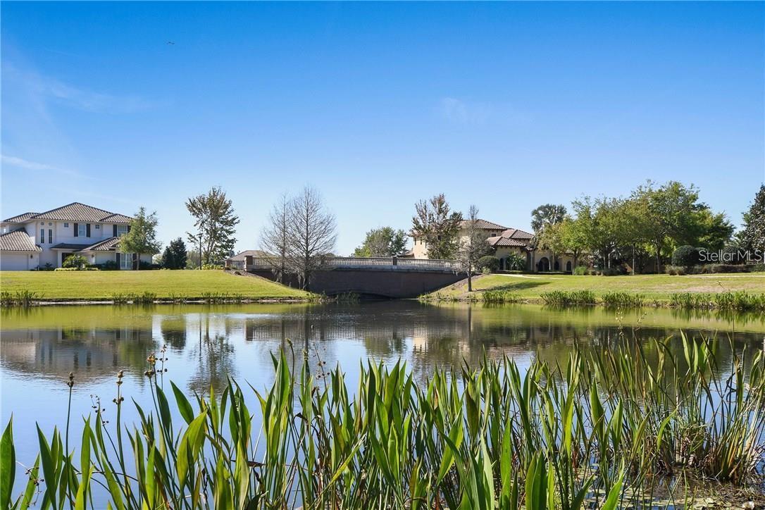 11419 CAMDEN PARK DR