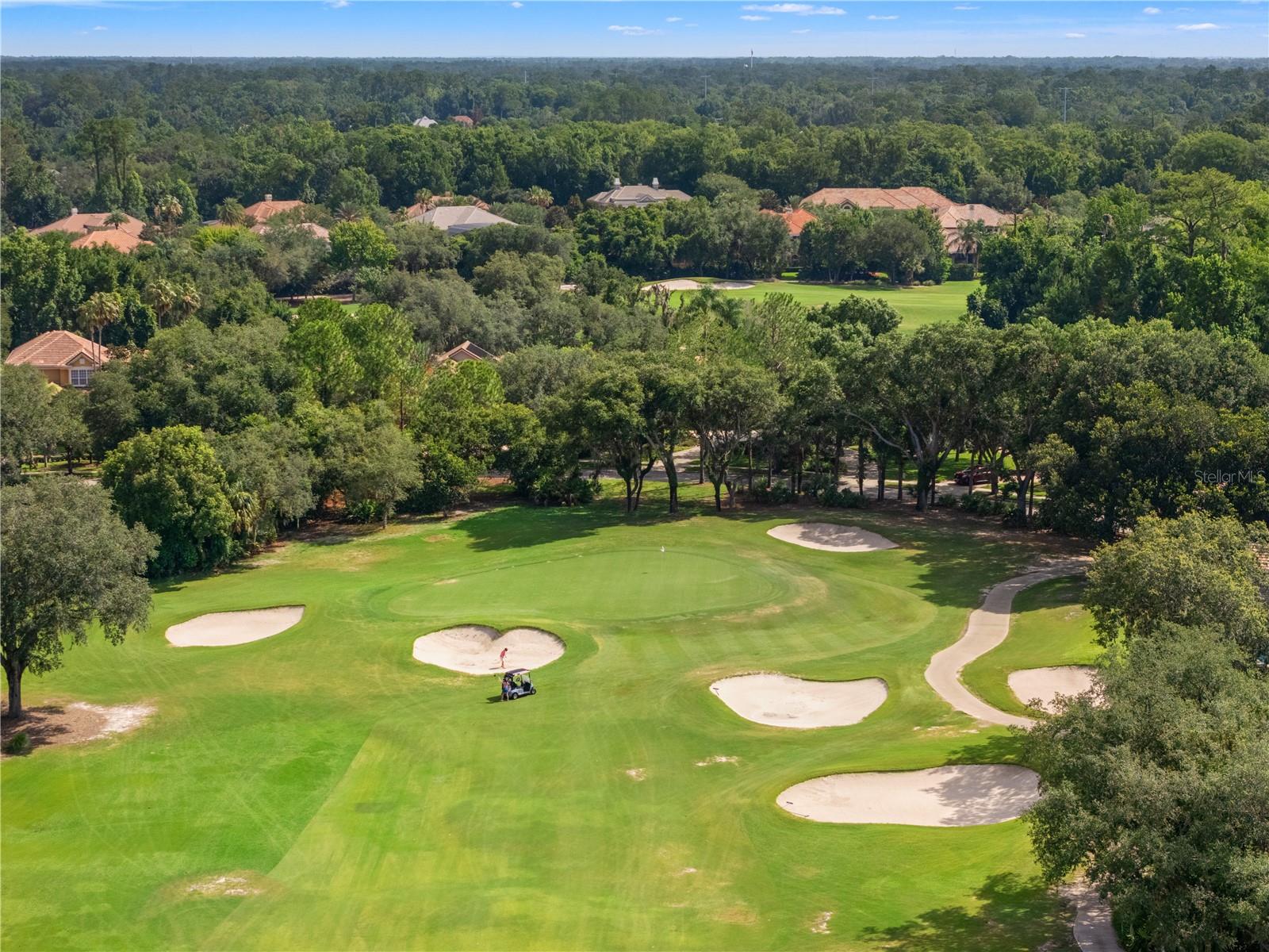 3358 HORSESHOE BEND CT