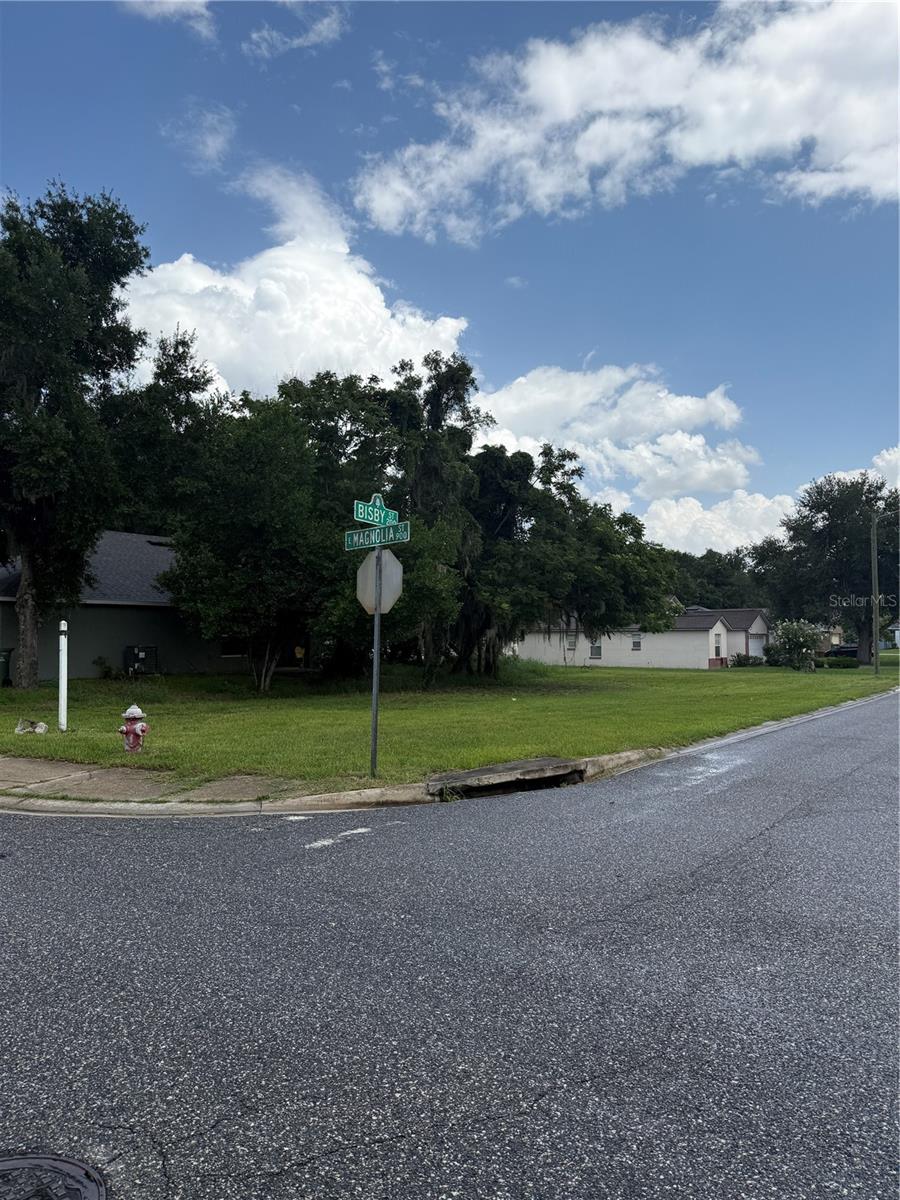 MAGNOLIA ST