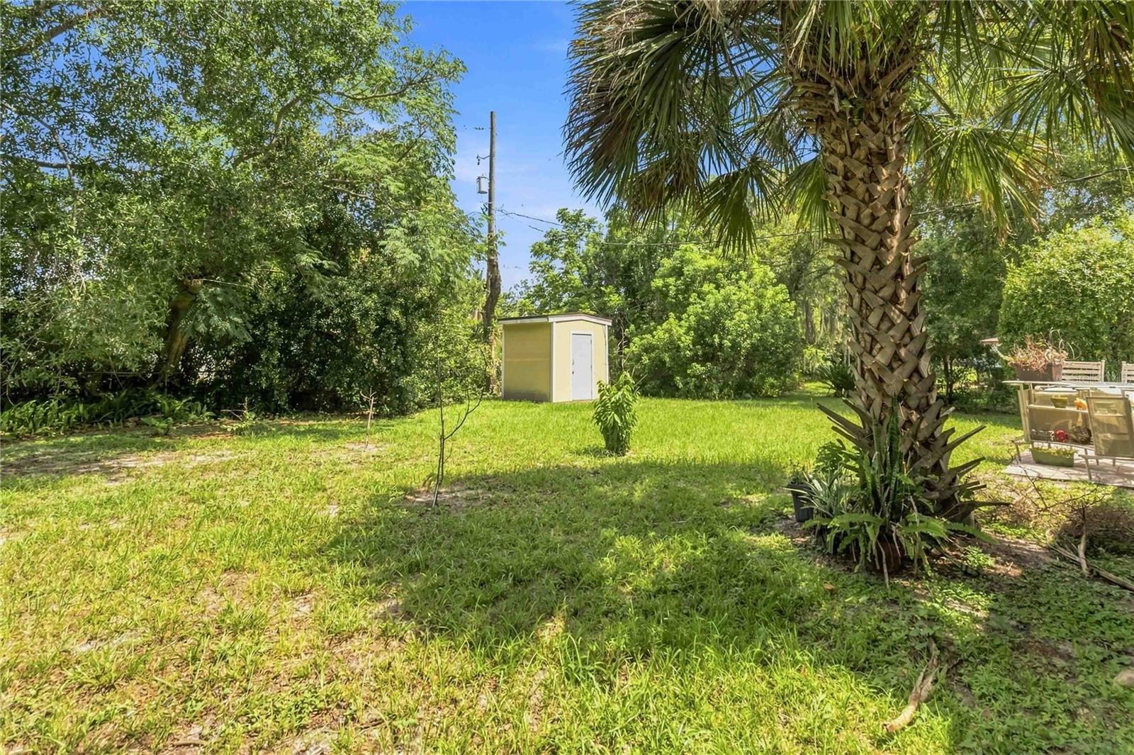 841 WOODEN BLVD