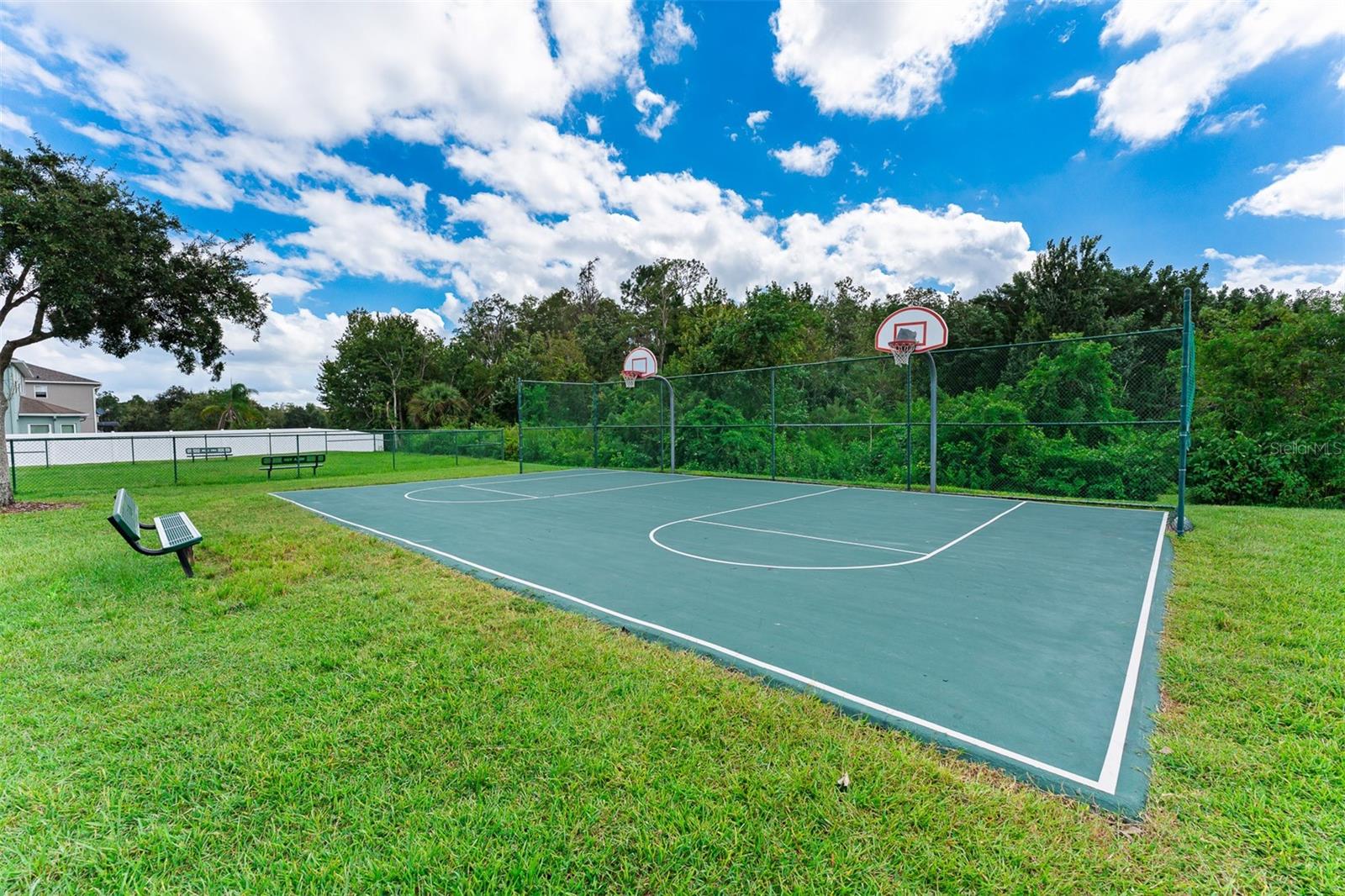 343 CORTONA DR