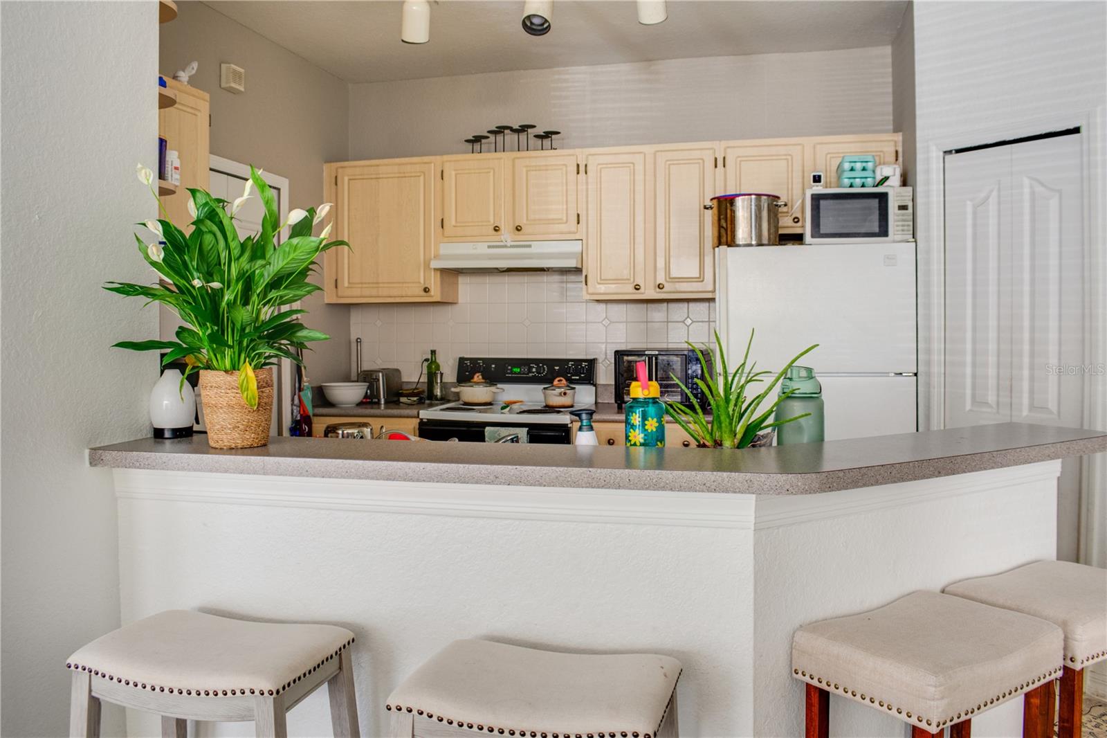 1100 Lake Shadow Cir #2101