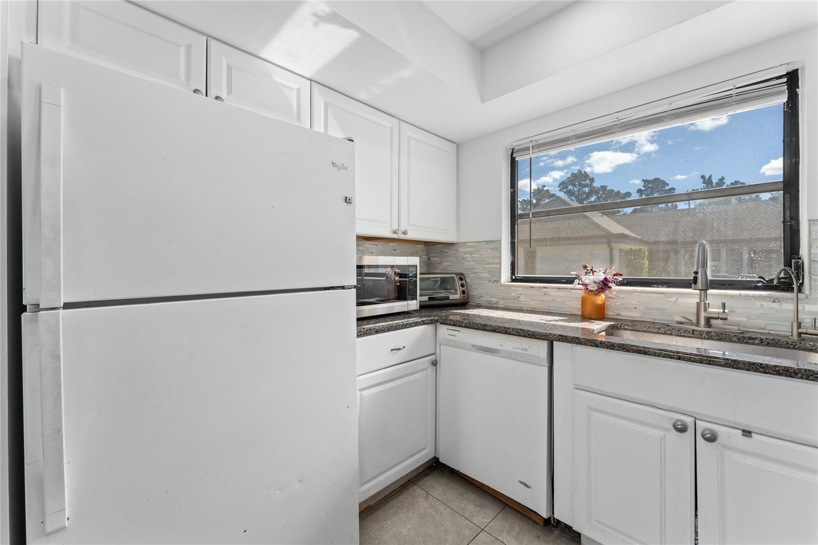 1493 MAGELLAN CIR #504