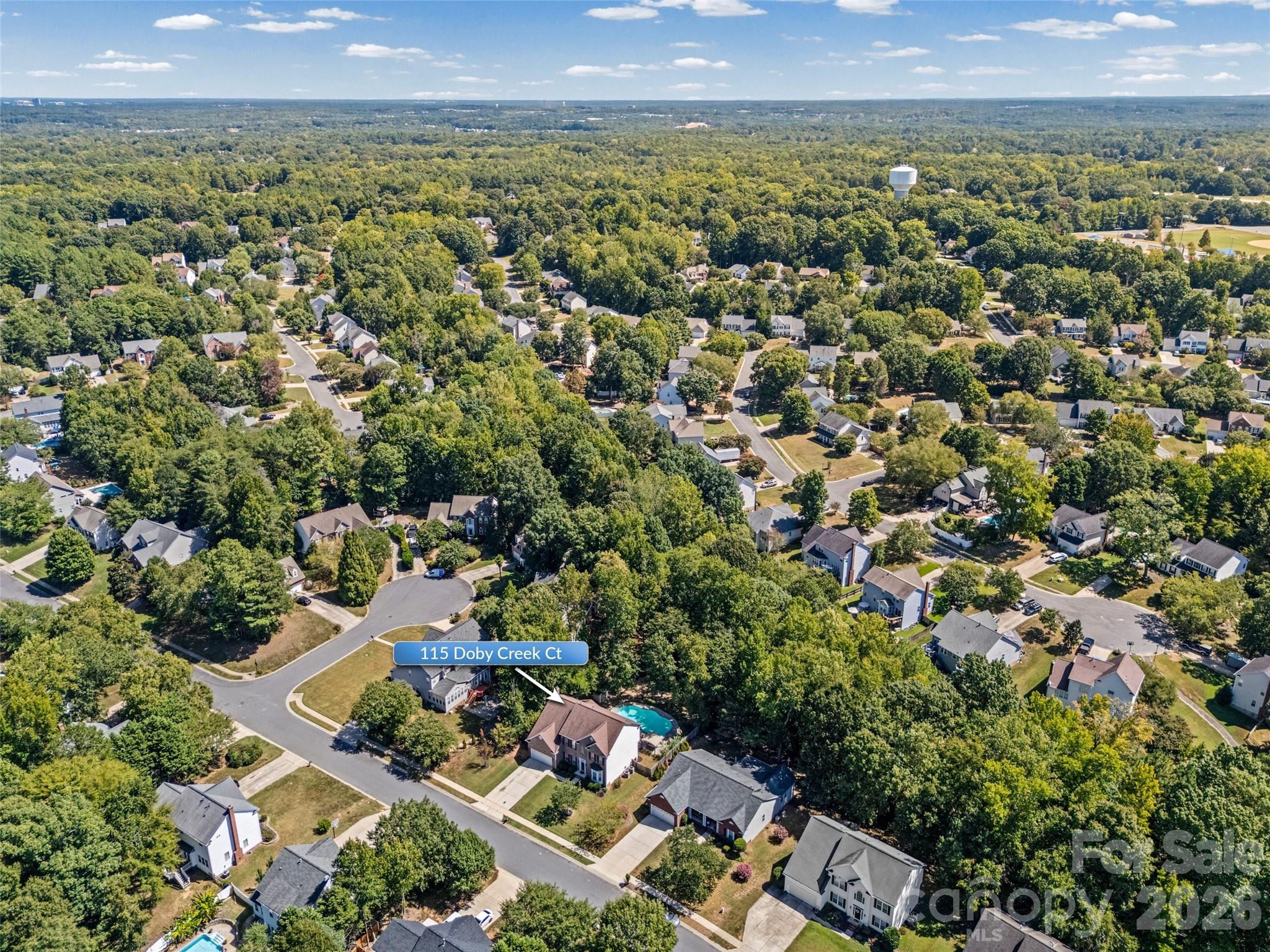 Aerial view of 115 Doby Creek Court, marked by an arrow; the house has a backyard pool.