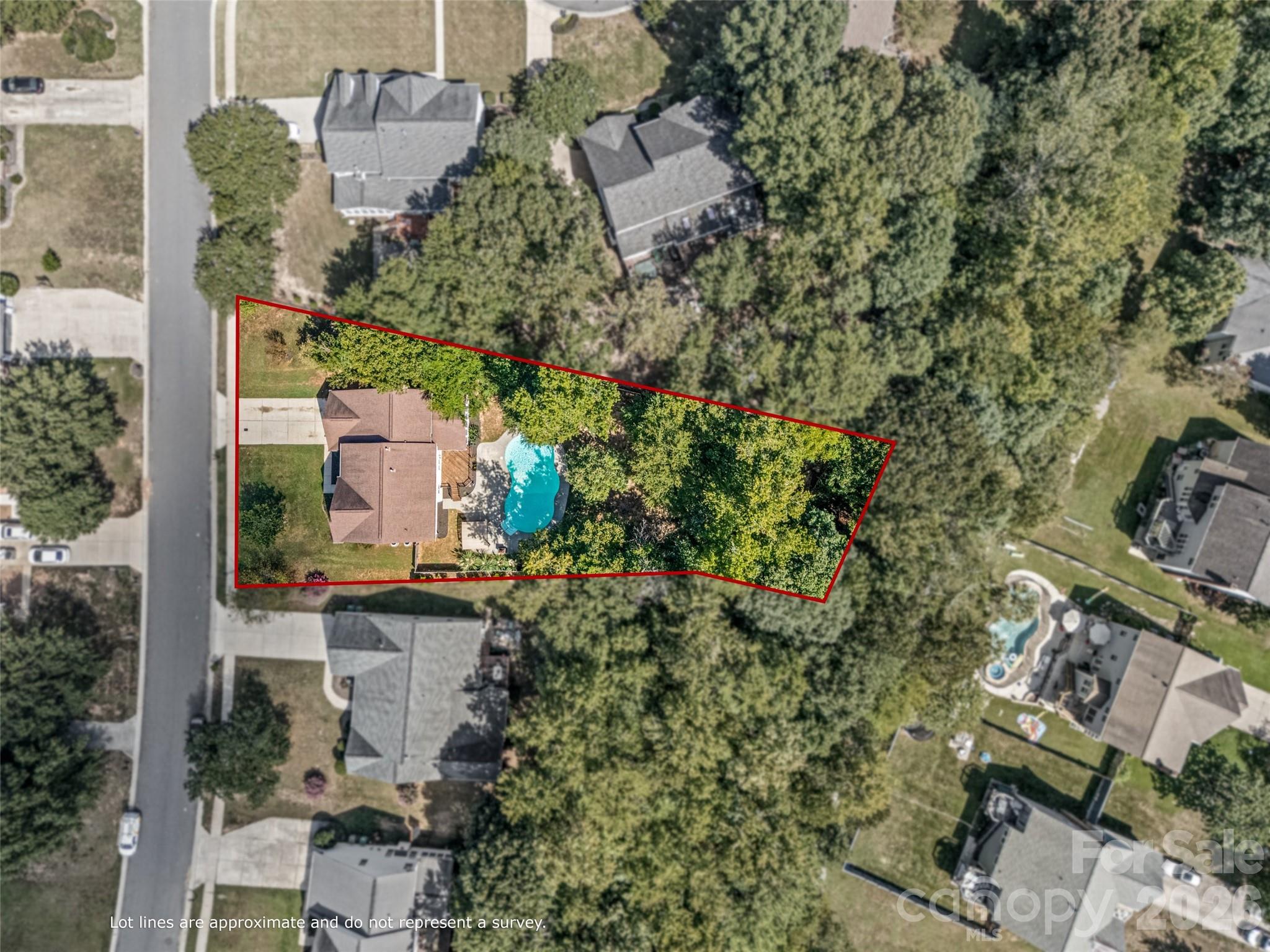 Aerial view of a wooded home lot outlined in red, with a backyard pool.