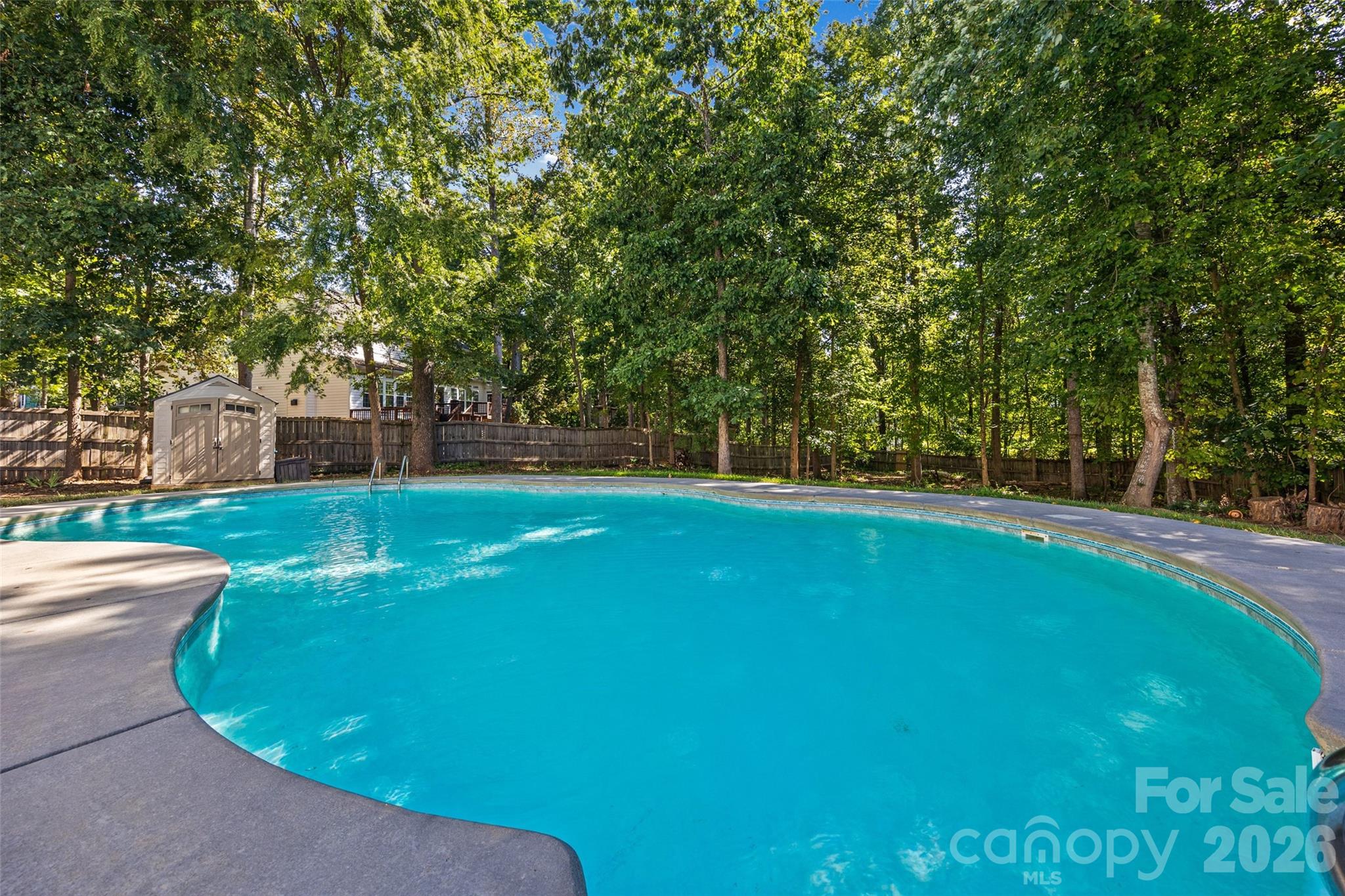 Curved backyard swimming pool bordered by a concrete deck, wooden fence, and leafy trees.