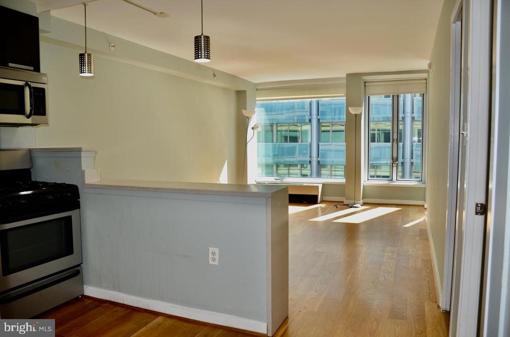 1101 3RD STREET SW 509