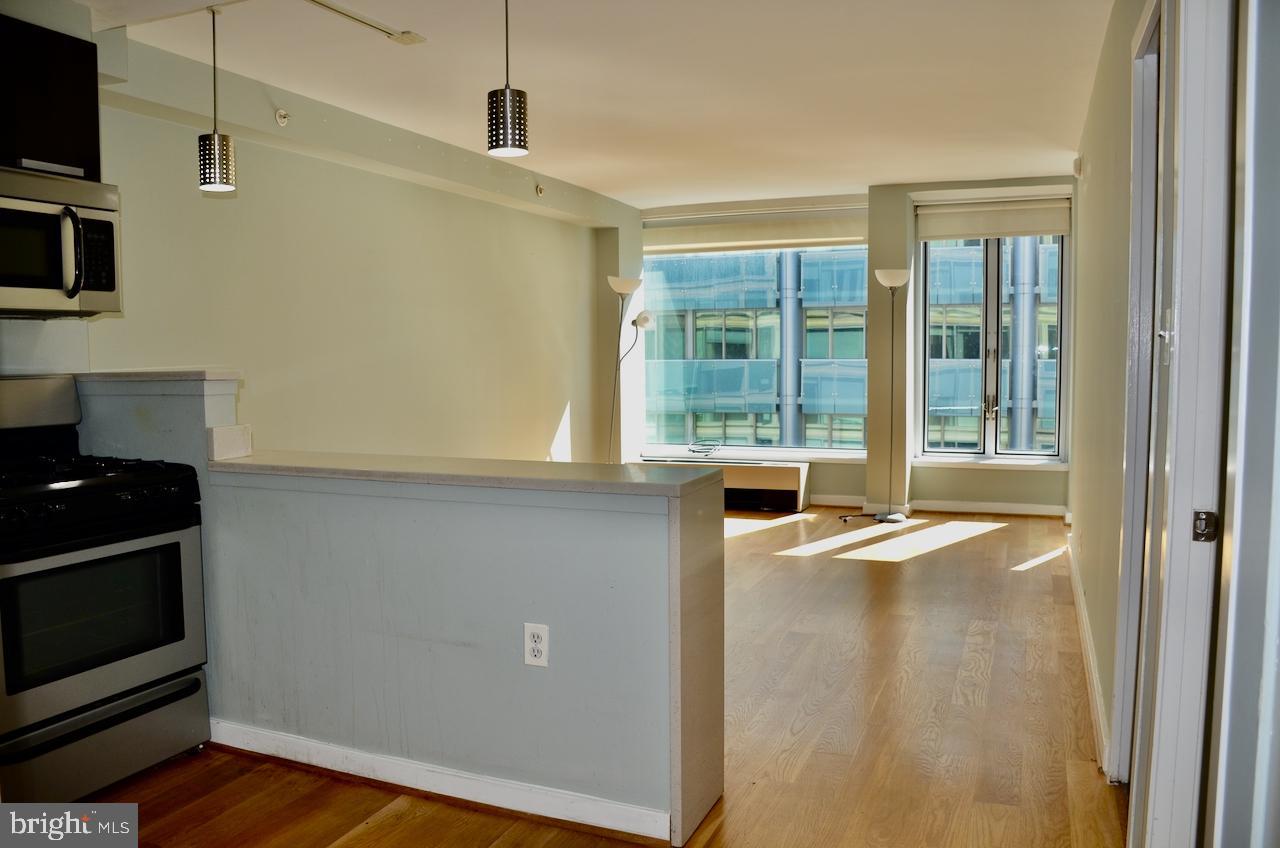 1101 3RD STREET SW 509