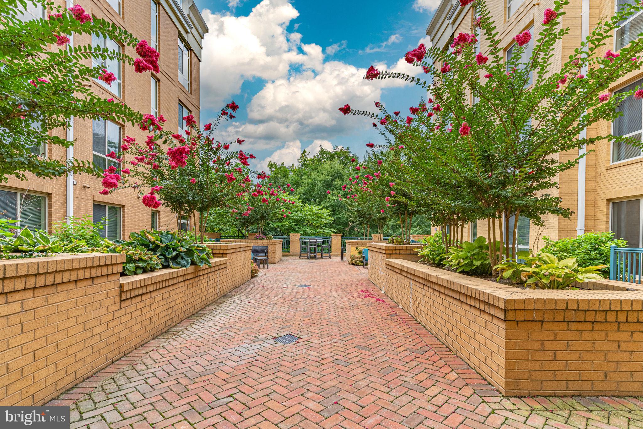 2200 N WESTMORELAND ST #229