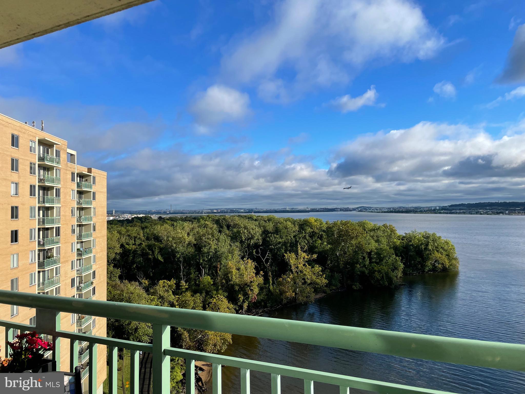 501 Slaters Ln #1005