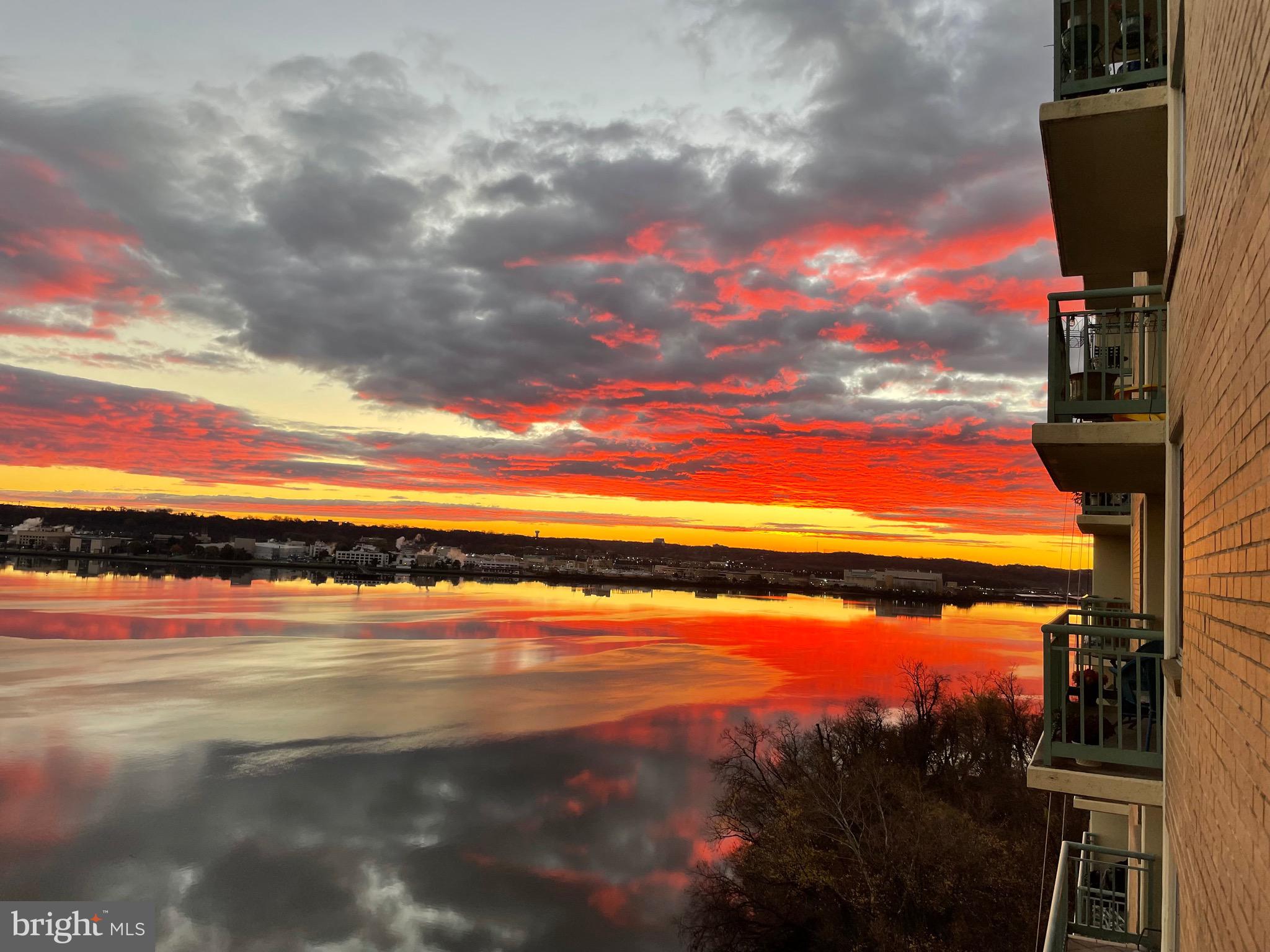 501 Slaters Ln #1005