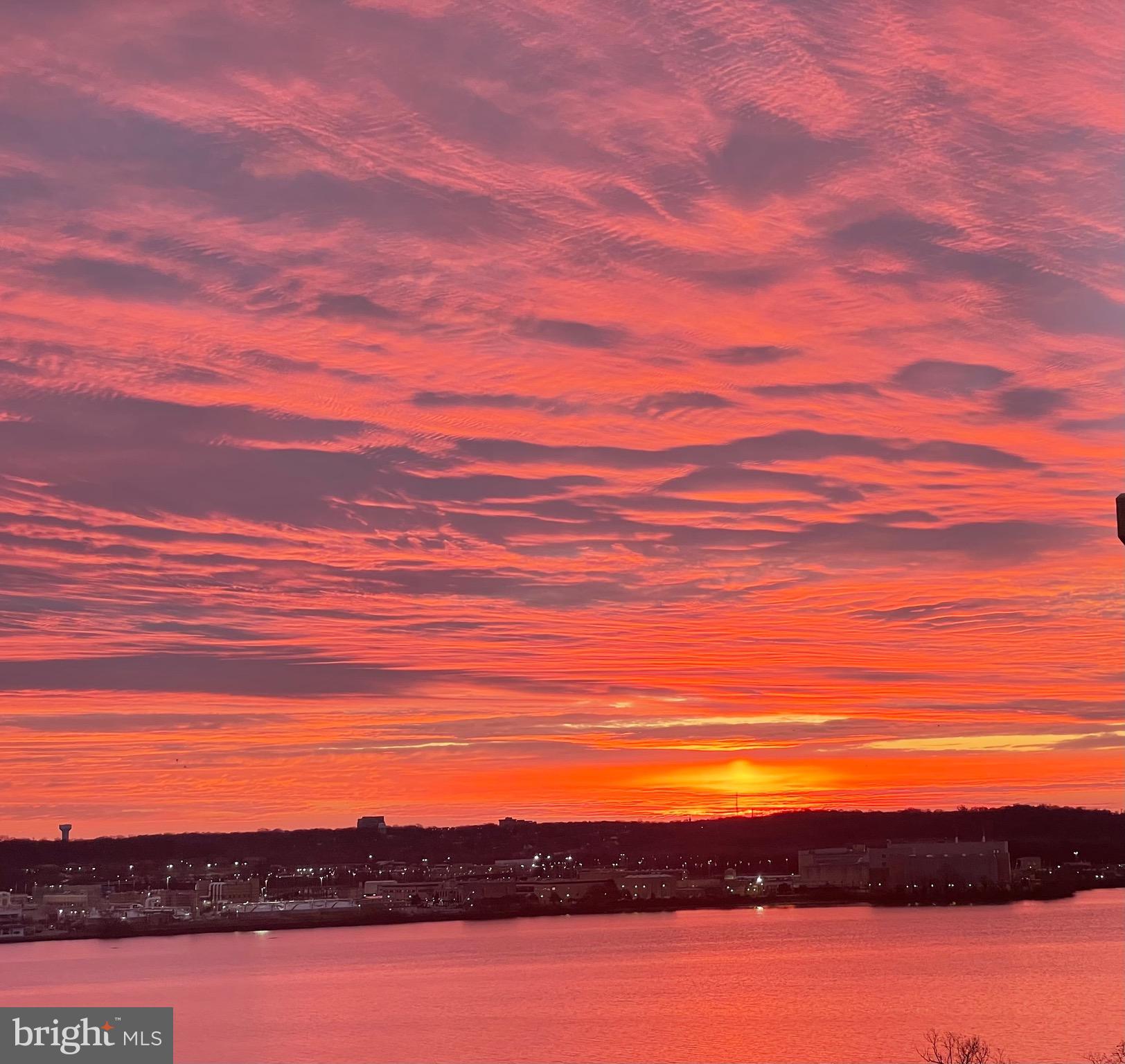 501 Slaters Ln #1005