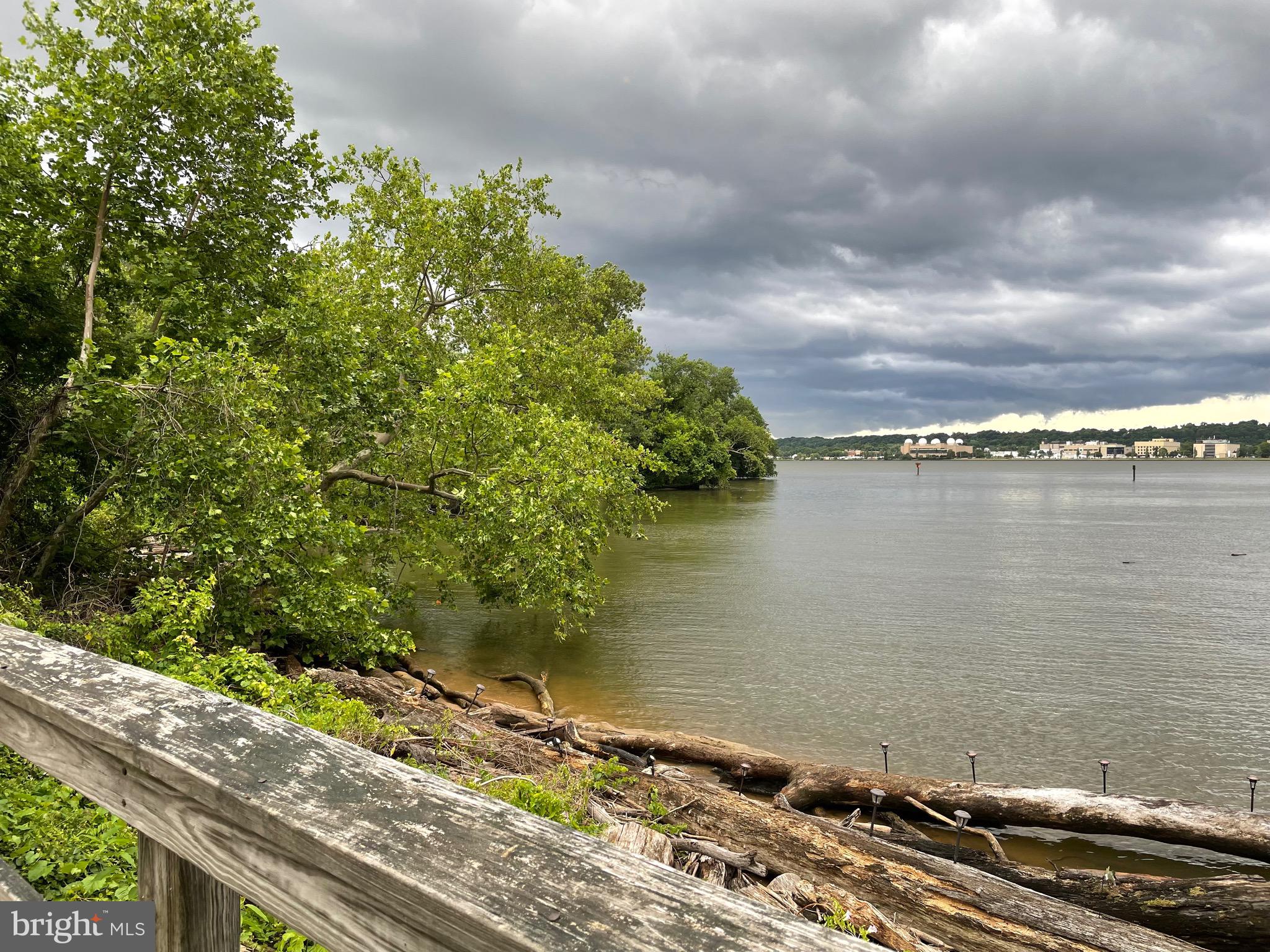 501 Slaters Ln #1005