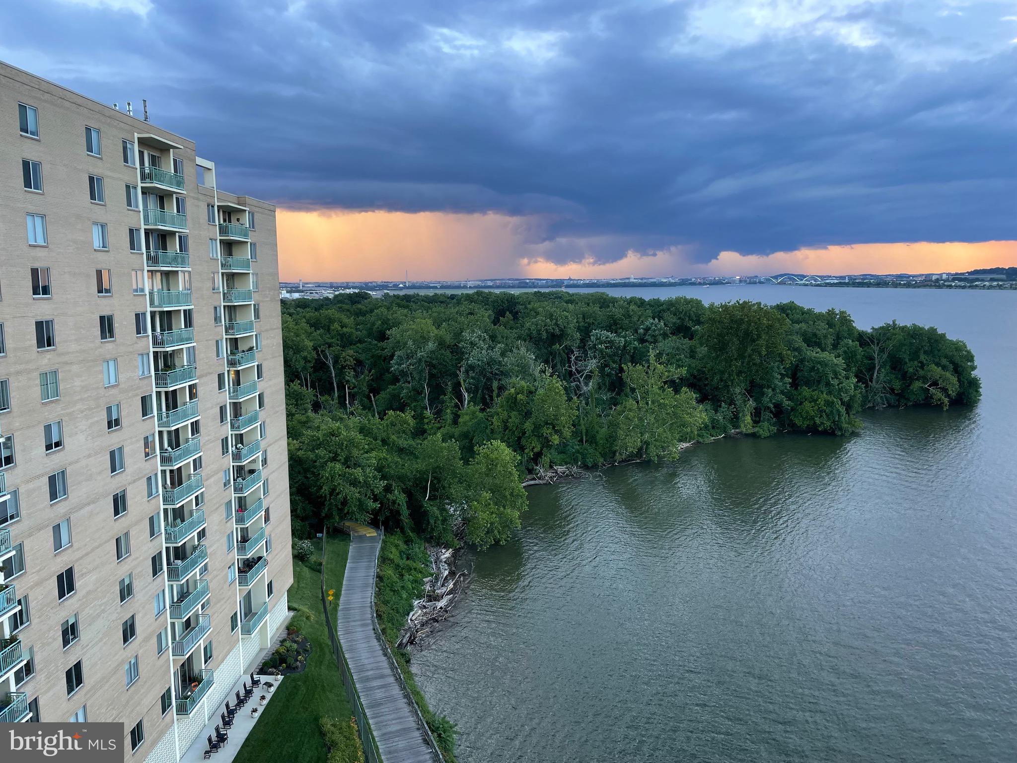 501 Slaters Ln #1005