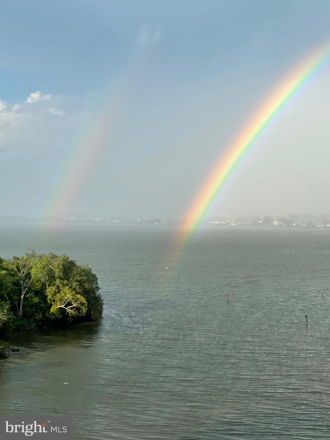 501 Slaters Ln #1005