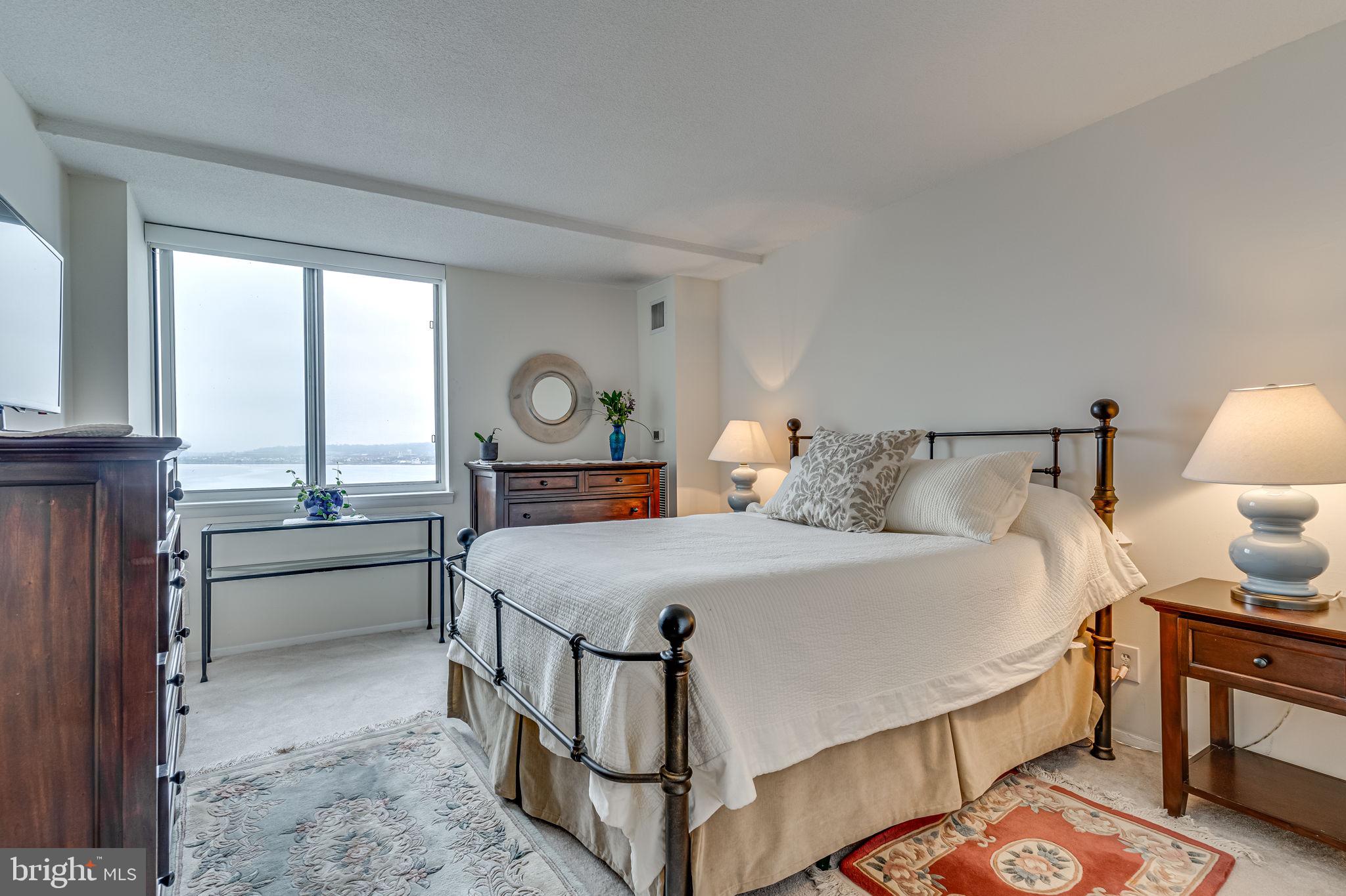 501 Slaters Ln #1005