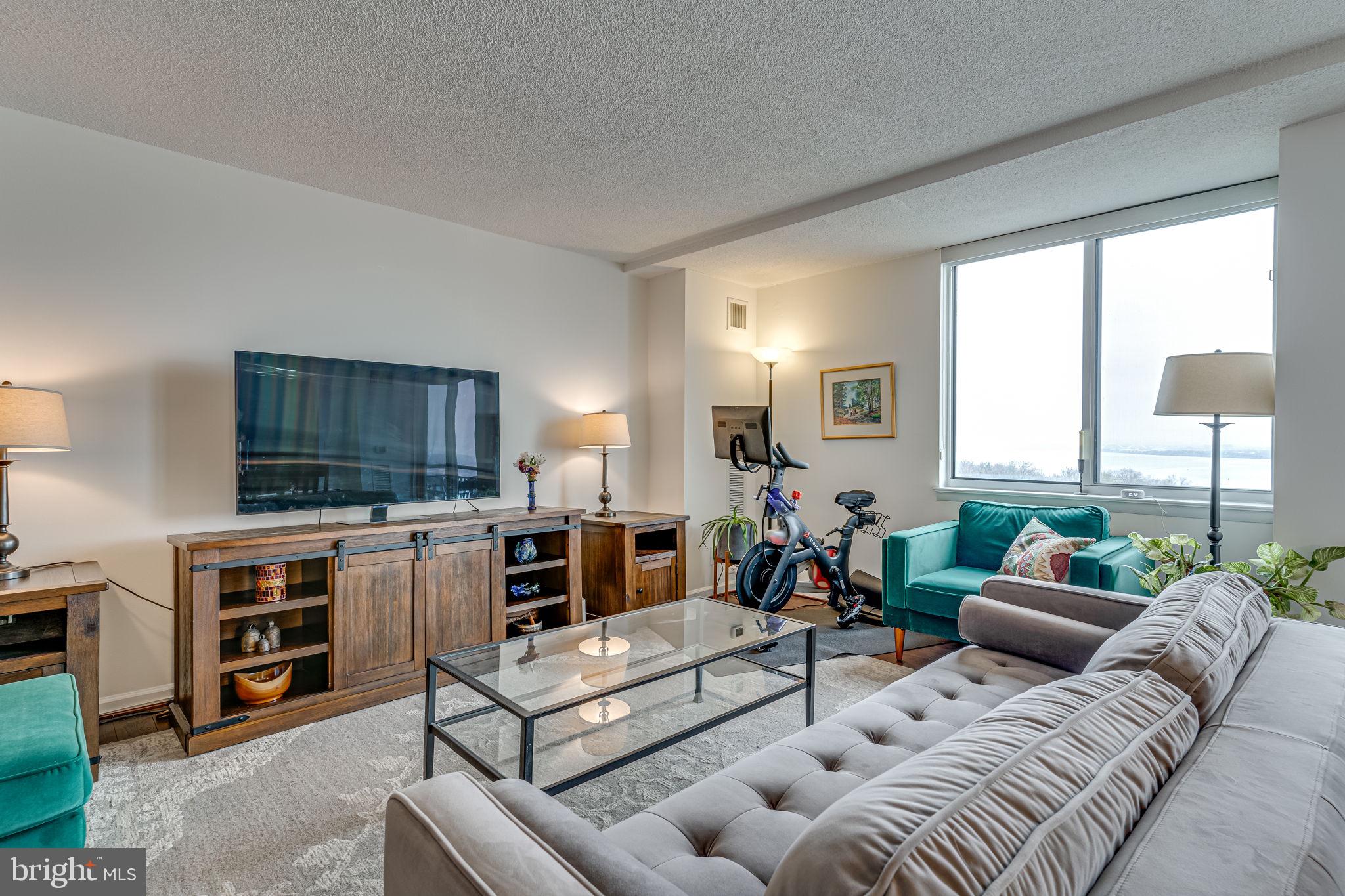 501 Slaters Ln #1005