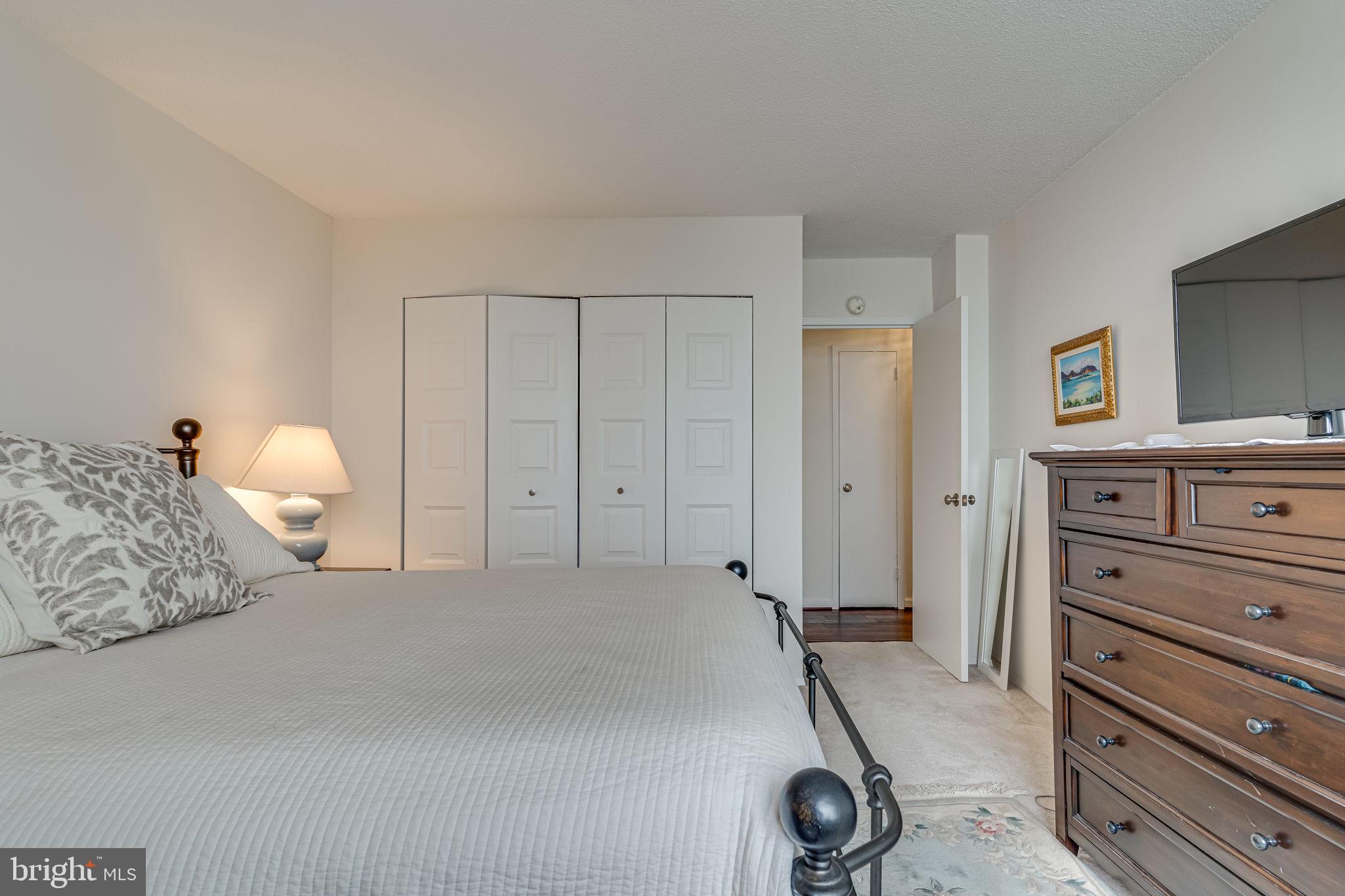 501 Slaters Ln #1005