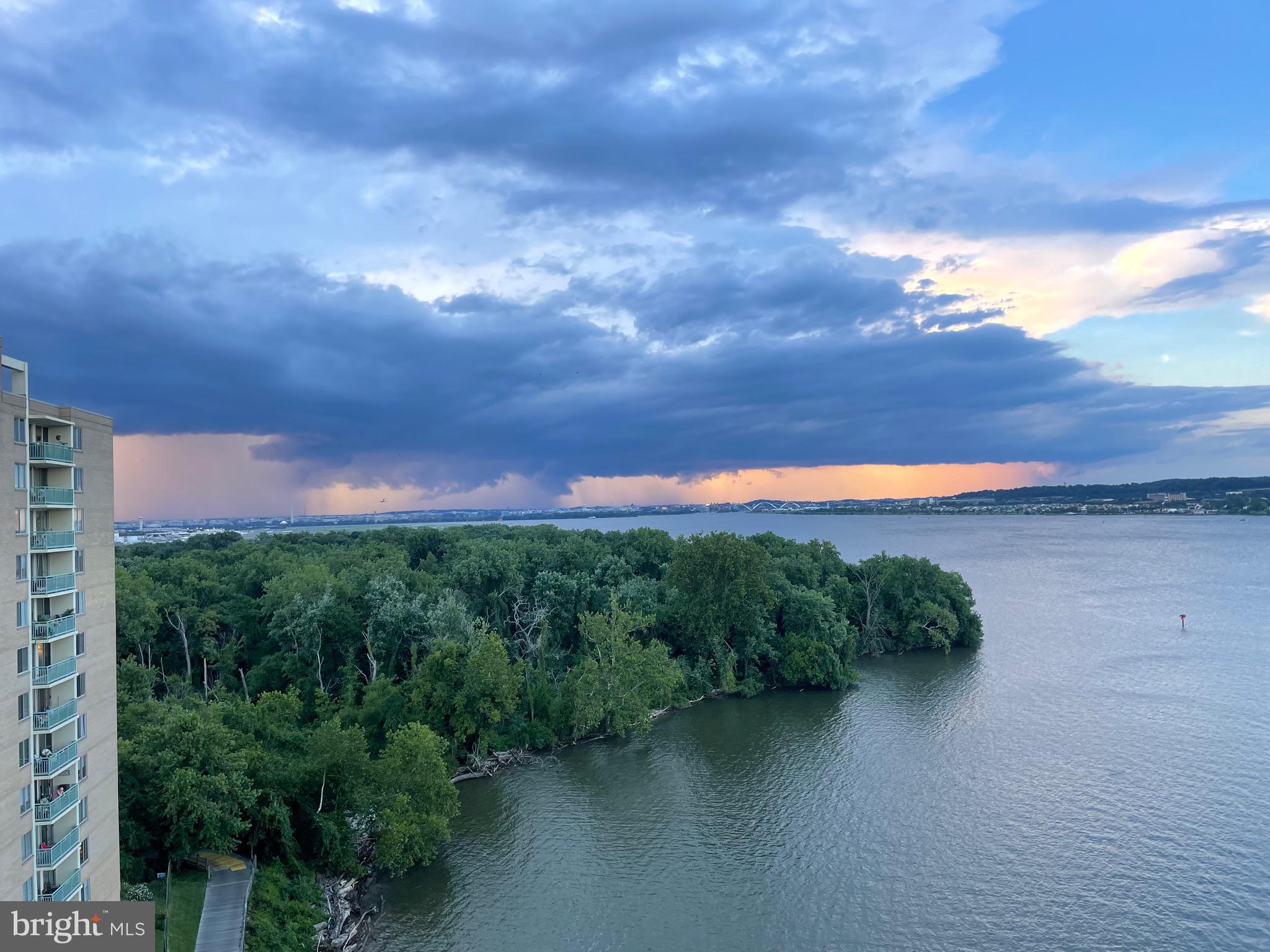 501 Slaters Ln #1005