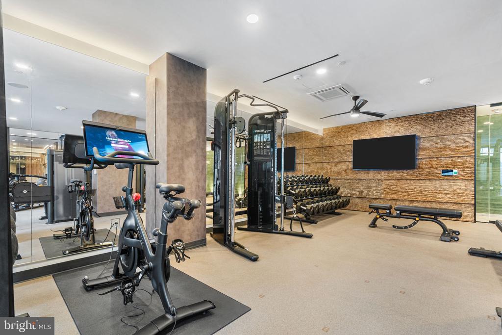 255 W FALLS STATION BOULEVARD 704